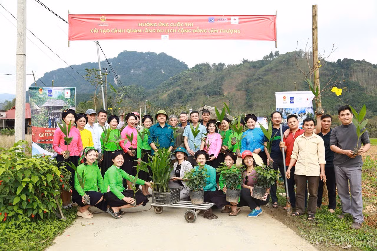 baolaocai-br_z7587186237452-733ac23a2c7c7f9e91014b6b6df0211c.jpg