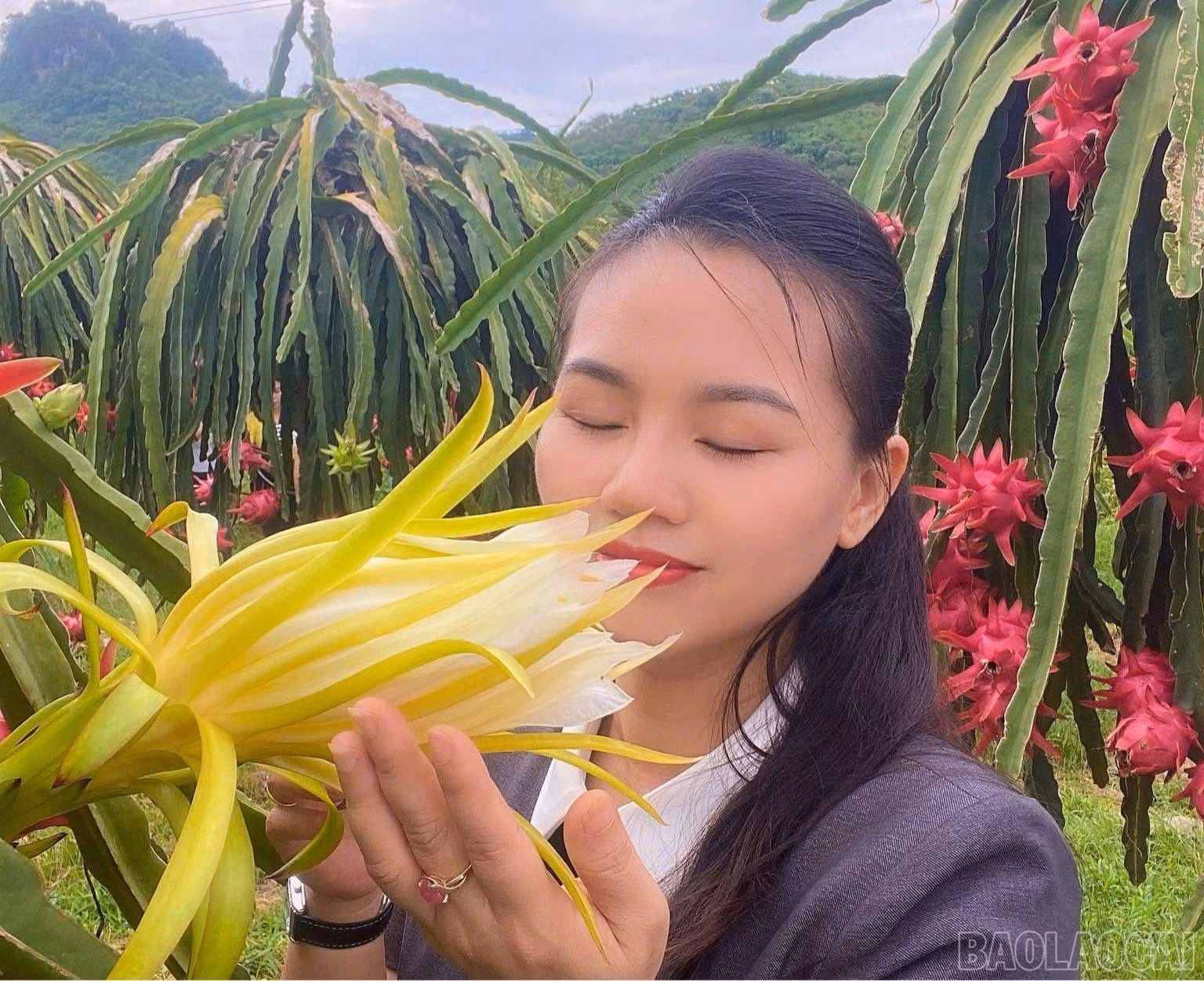 baolaocai-br_du-khac-1.jpg