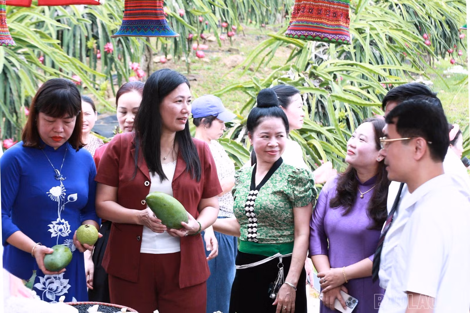 baolaocai-br_lanh-dao-tham-quan-vuon.jpg