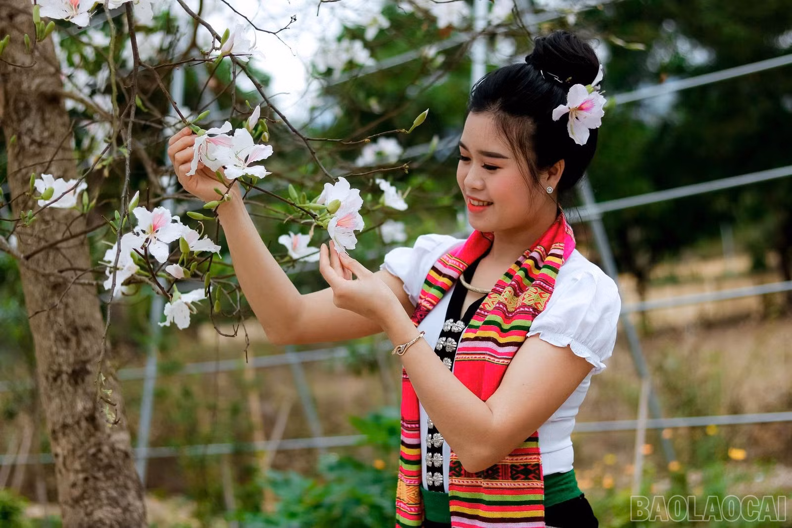 baolaocai-br_z7446564615090-d8d65f509dd4f344b8456c5a93162391.jpg