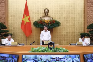 Thủ tướng: Cần những giải pháp mạnh hơn nữa trong giai đoạn nước rút của năm 2026