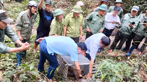 Trung tâm Du lịch và Bảo tồn sinh vật Hoàng Liên thả động vật tại Vườn quốc gia Chư Mom Ray (Quảng Ngãi)