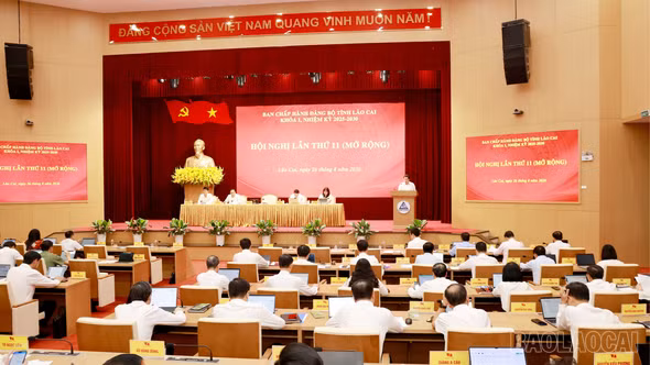 Ban Chấp hành Đảng bộ tỉnh tổ chức Hội nghị lần thứ 11 quán triệt nội dung Hội nghị Trung ương 3
