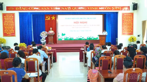Phường Trung Tâm tiên phong mở hướng phát triển dược liệu theo chuỗi giá trị