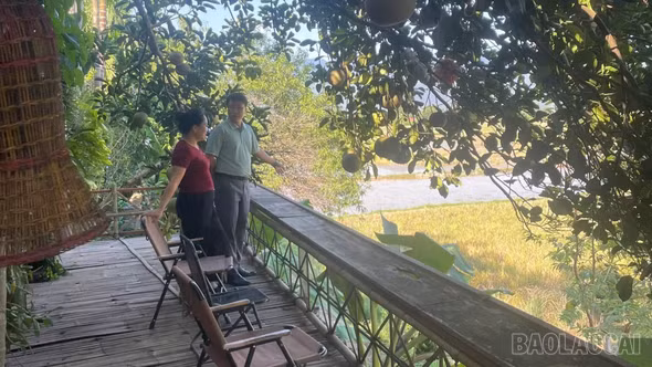 Nghĩa Lộ khảo sát sản phẩm du lịch “Một ngày sống cùng Bản Thái”