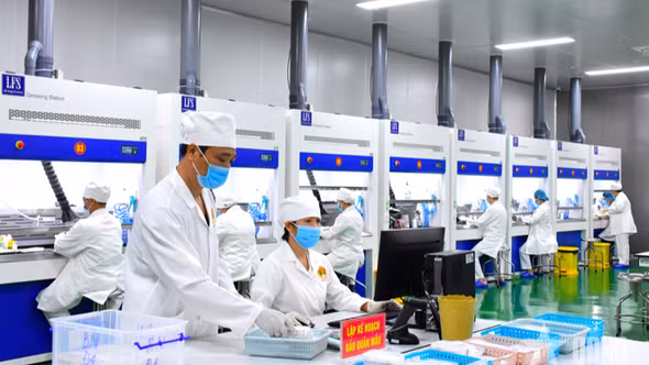 Nỗ lực trên hành trình xác định danh tính liệt sĩ