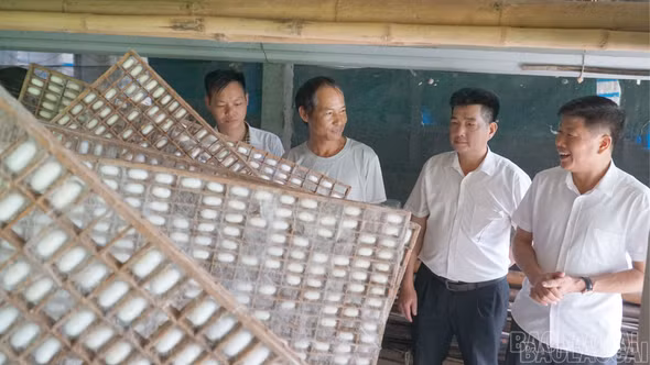 Khi nghị quyết chi bộ đi vào cuộc sống