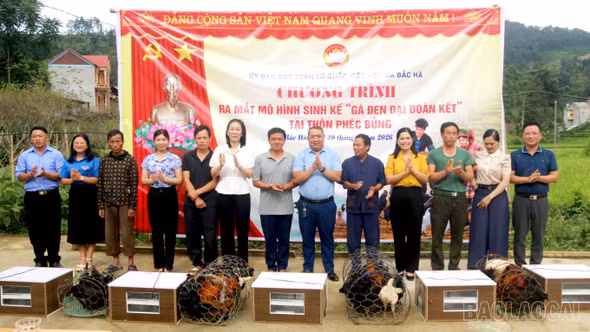 Bắc Hà ra mắt mô hình sinh kế “Gà đen đại đoàn kết” gắn với chuyển đổi số và truy xuất nguồn gốc QR-Code