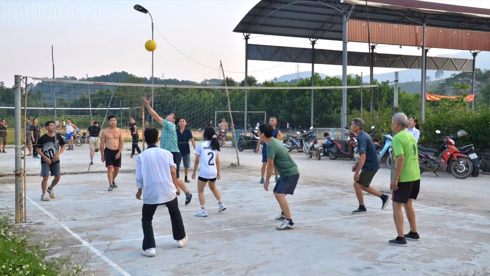baolaocai-tl_16-3137.jpg