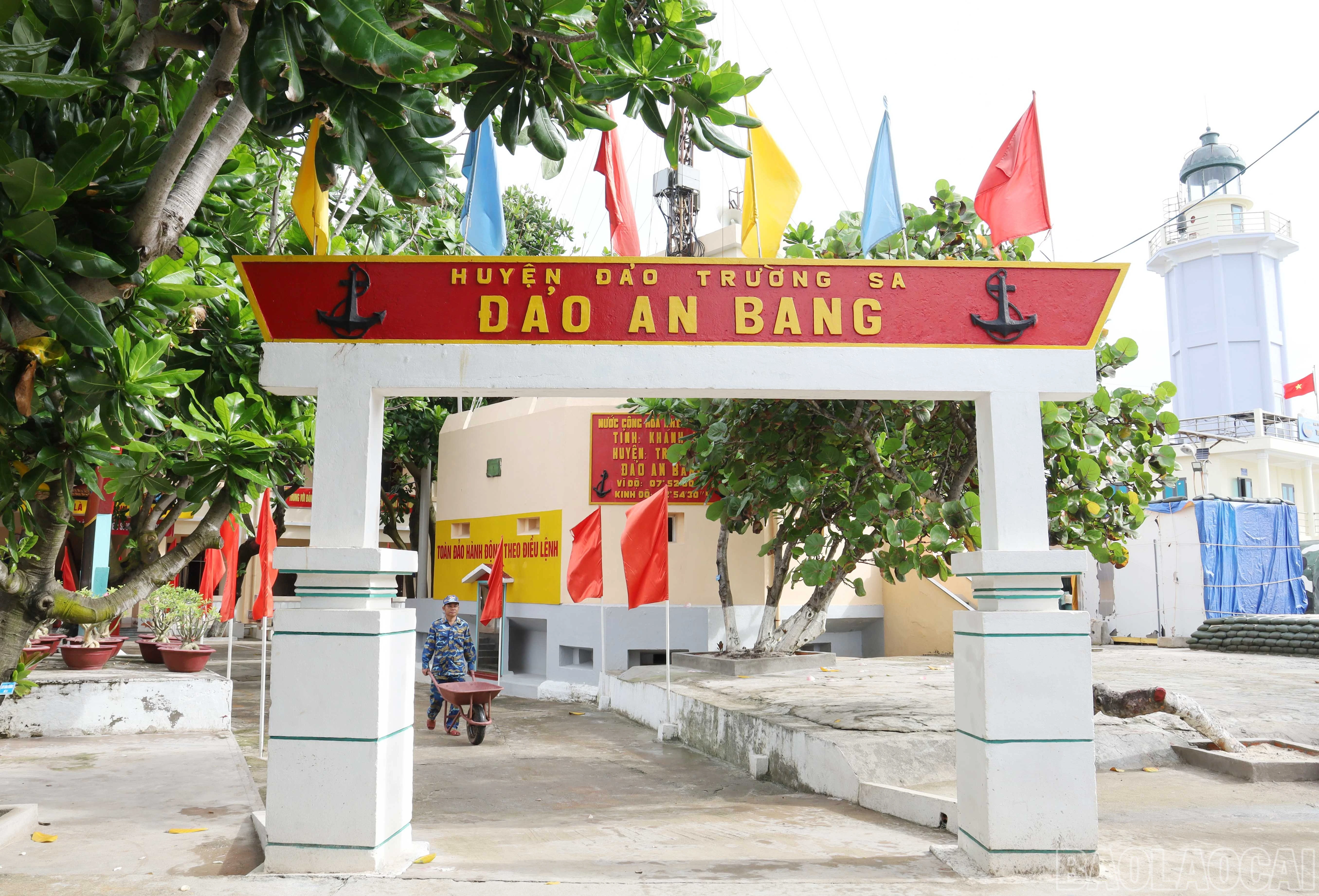 baolaocai-br_9438.jpg
