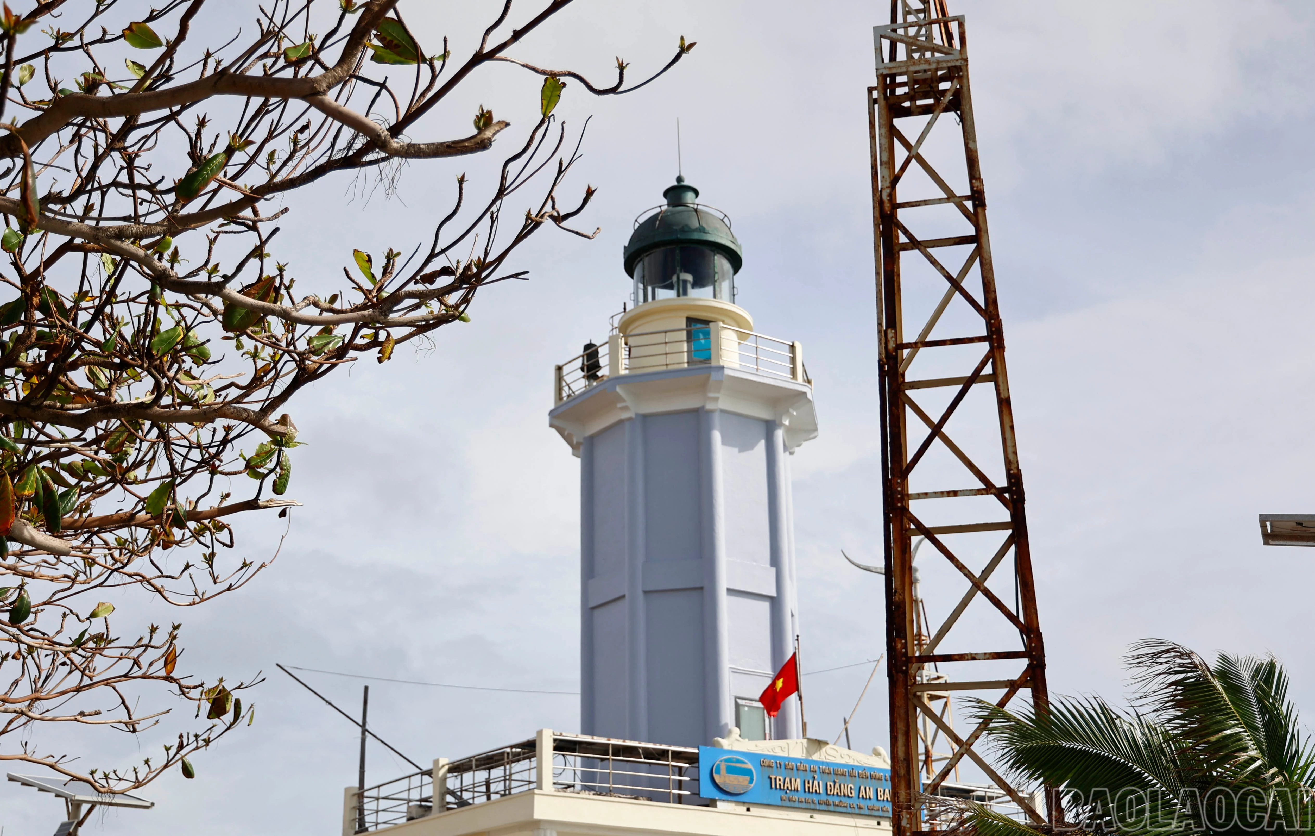 baolaocai-br_9866.jpg