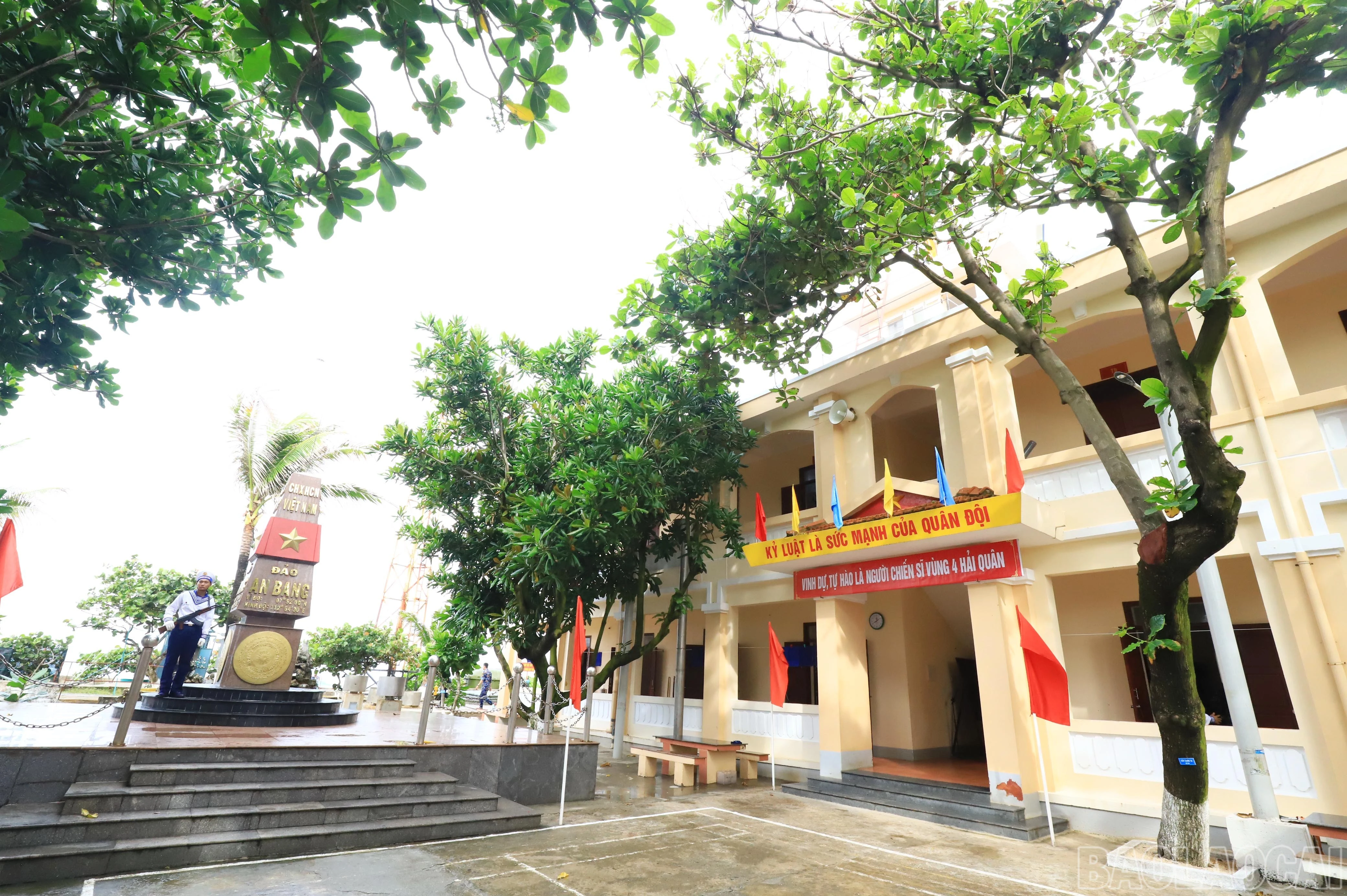 baolaocai-br_1093.jpg