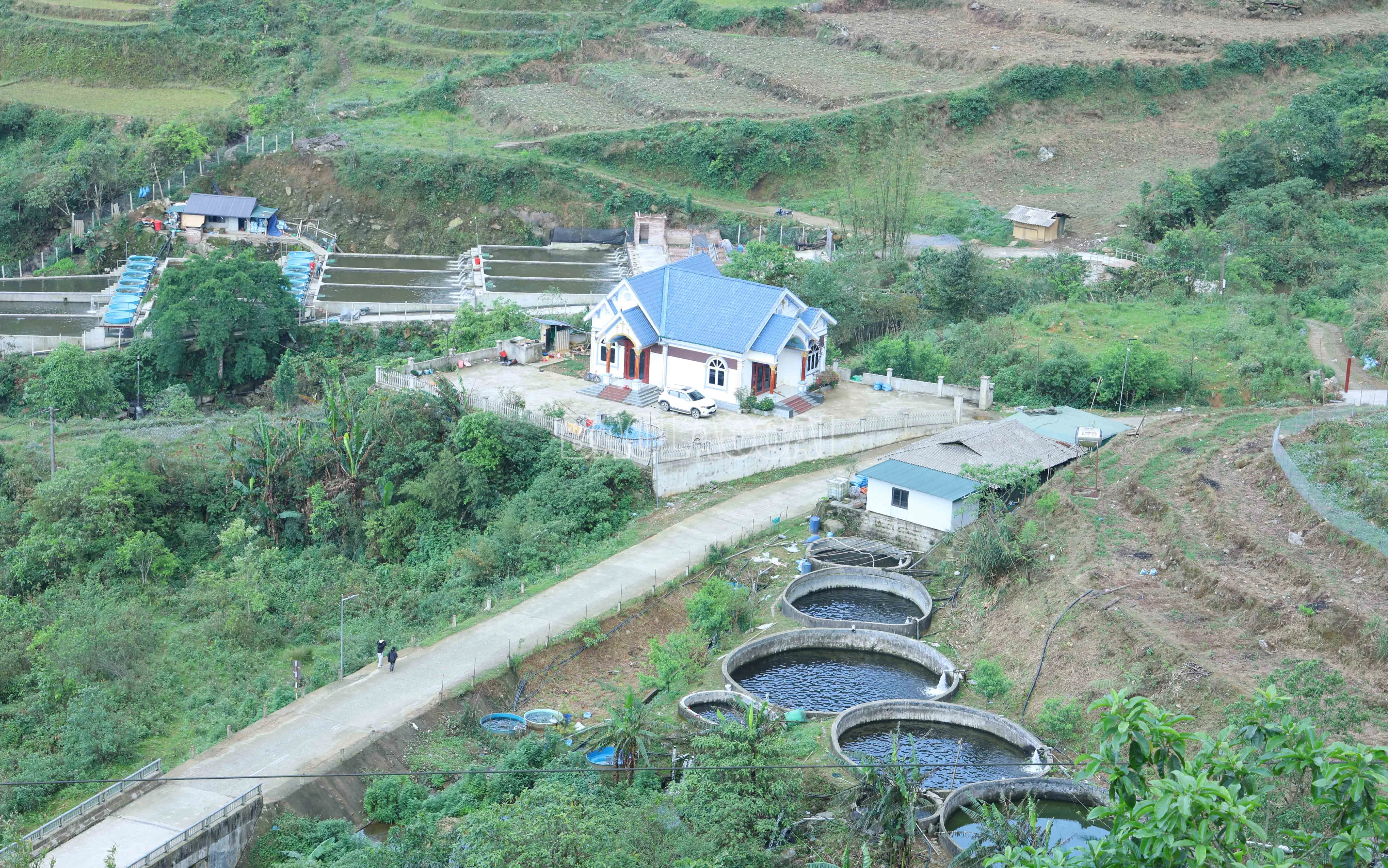 baolaocai-c_4006.jpg