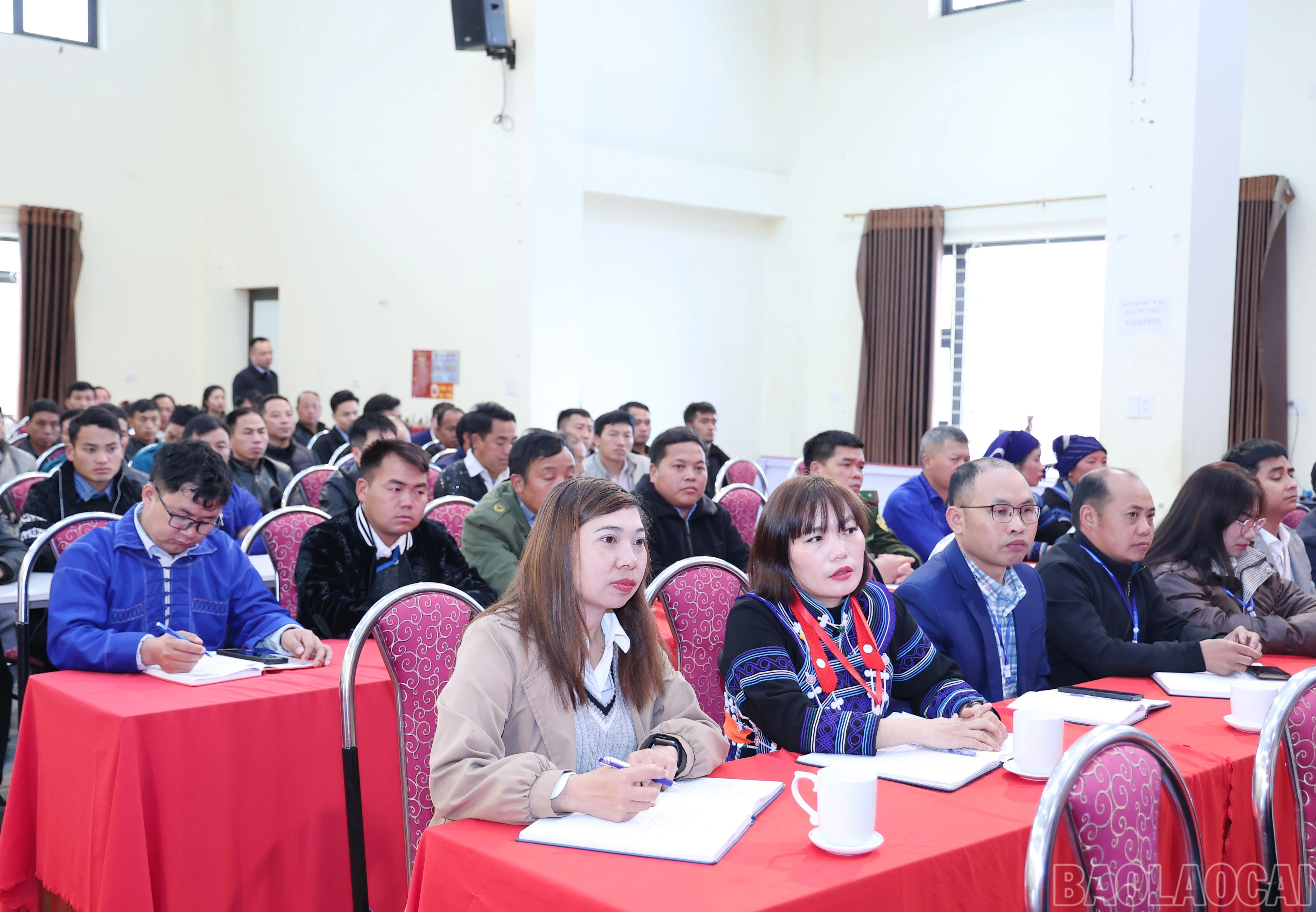 baolaocai-br_img-1650.jpg