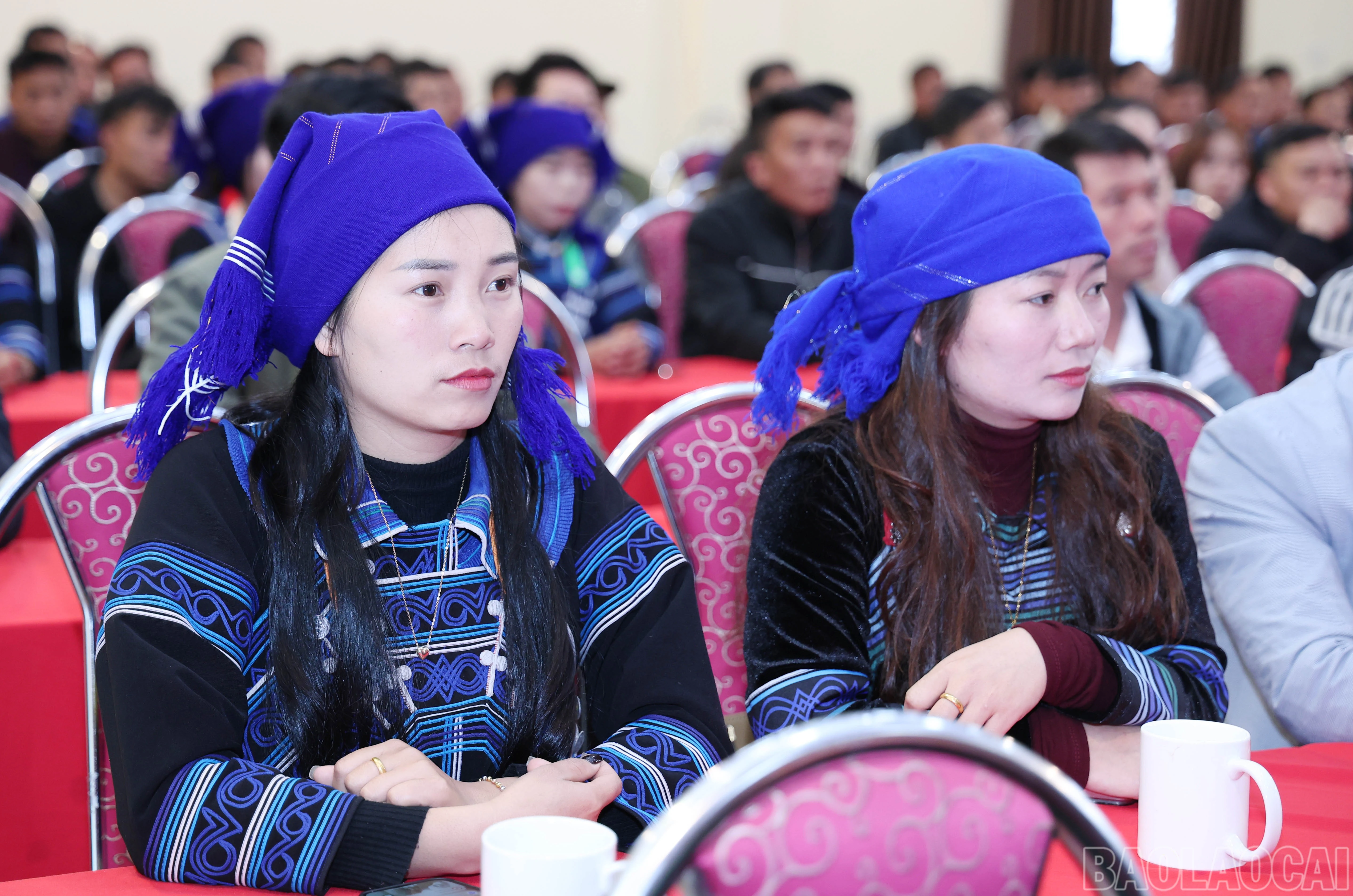 baolaocai-br_img-1610.jpg