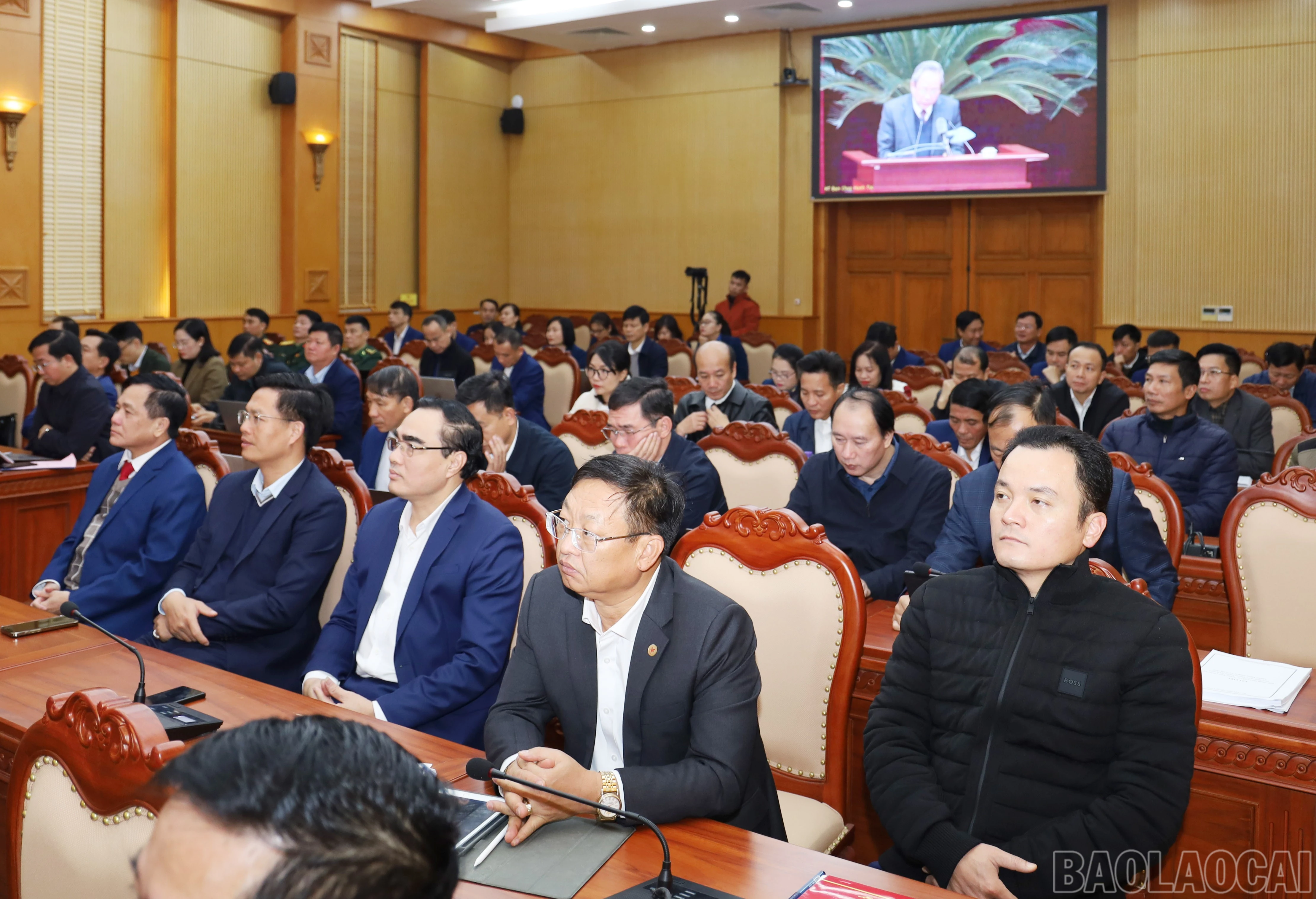baolaocai-br_7285.jpg