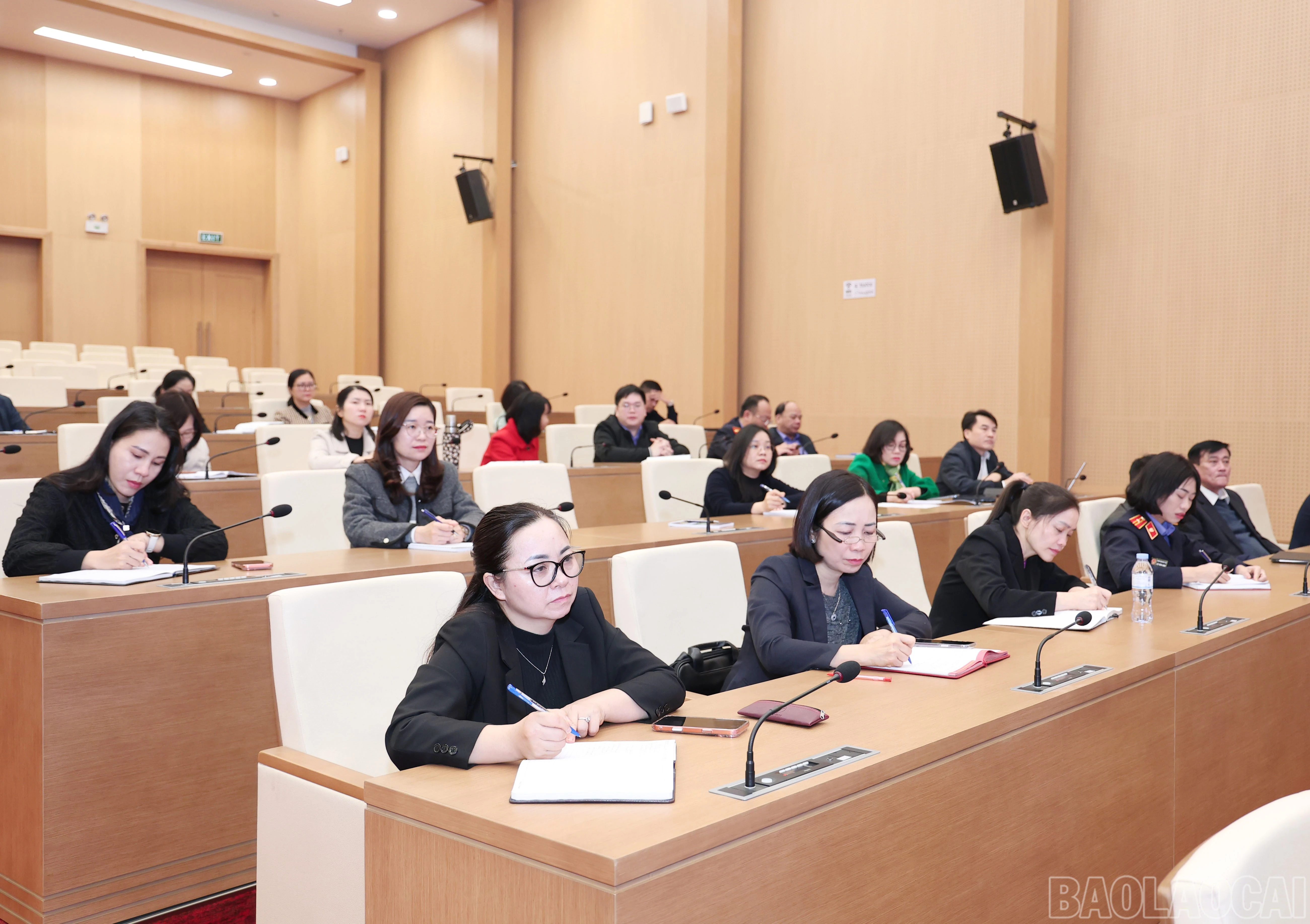 baolaocai-br_img-8476.jpg