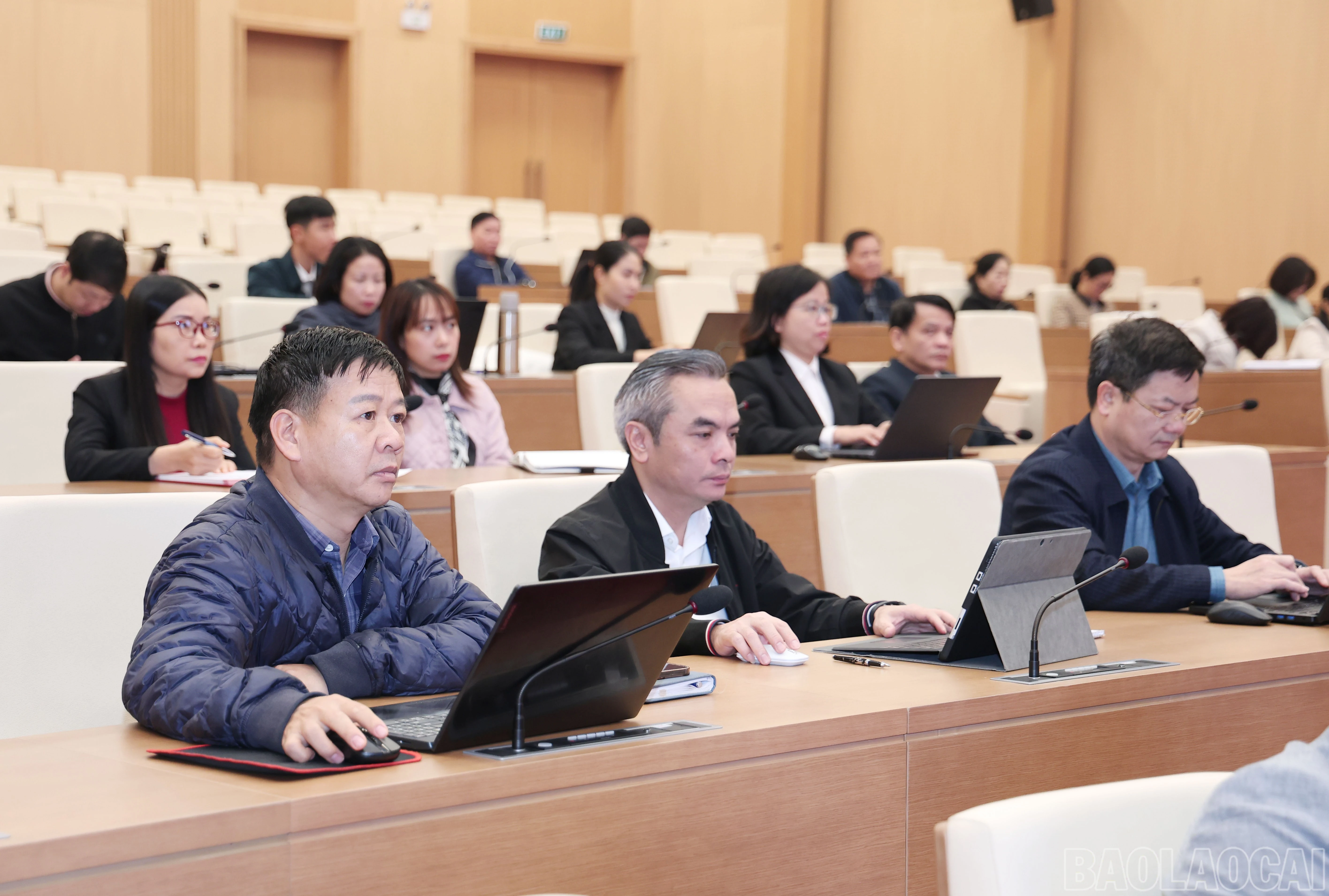 baolaocai-br_img-8468.jpg