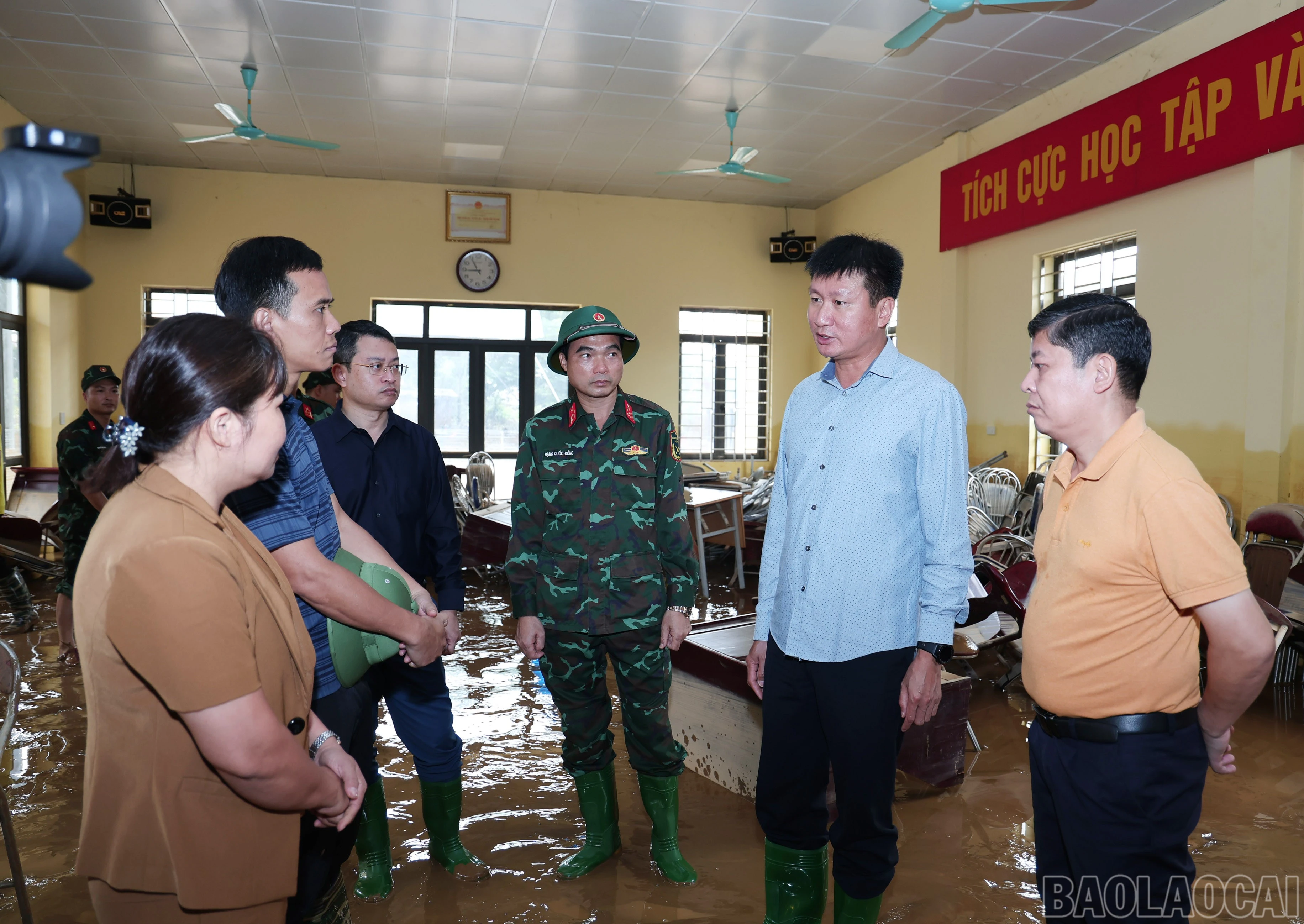 baolaocai-br_img-4058.jpg