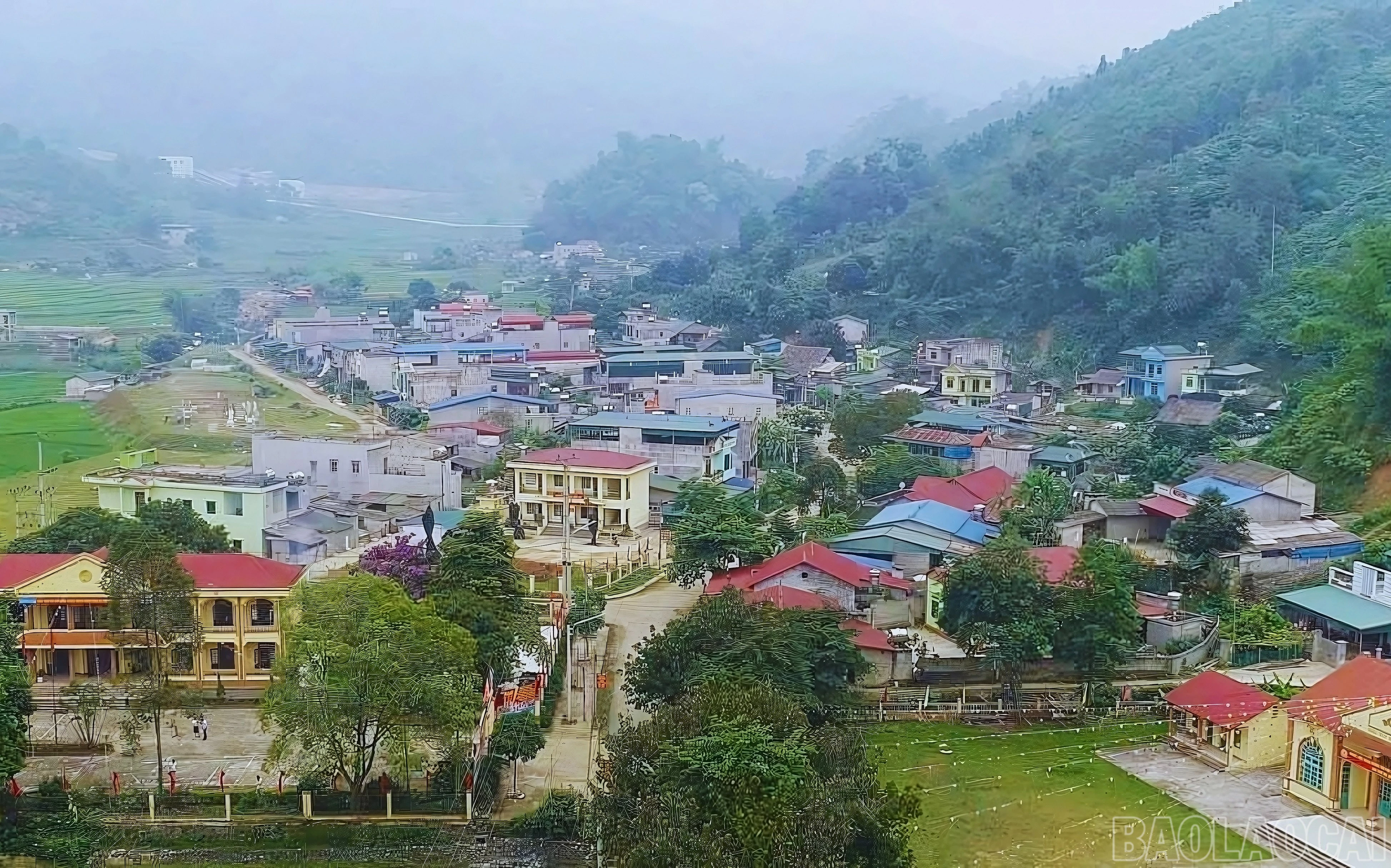 baolaocai-br_11.jpg