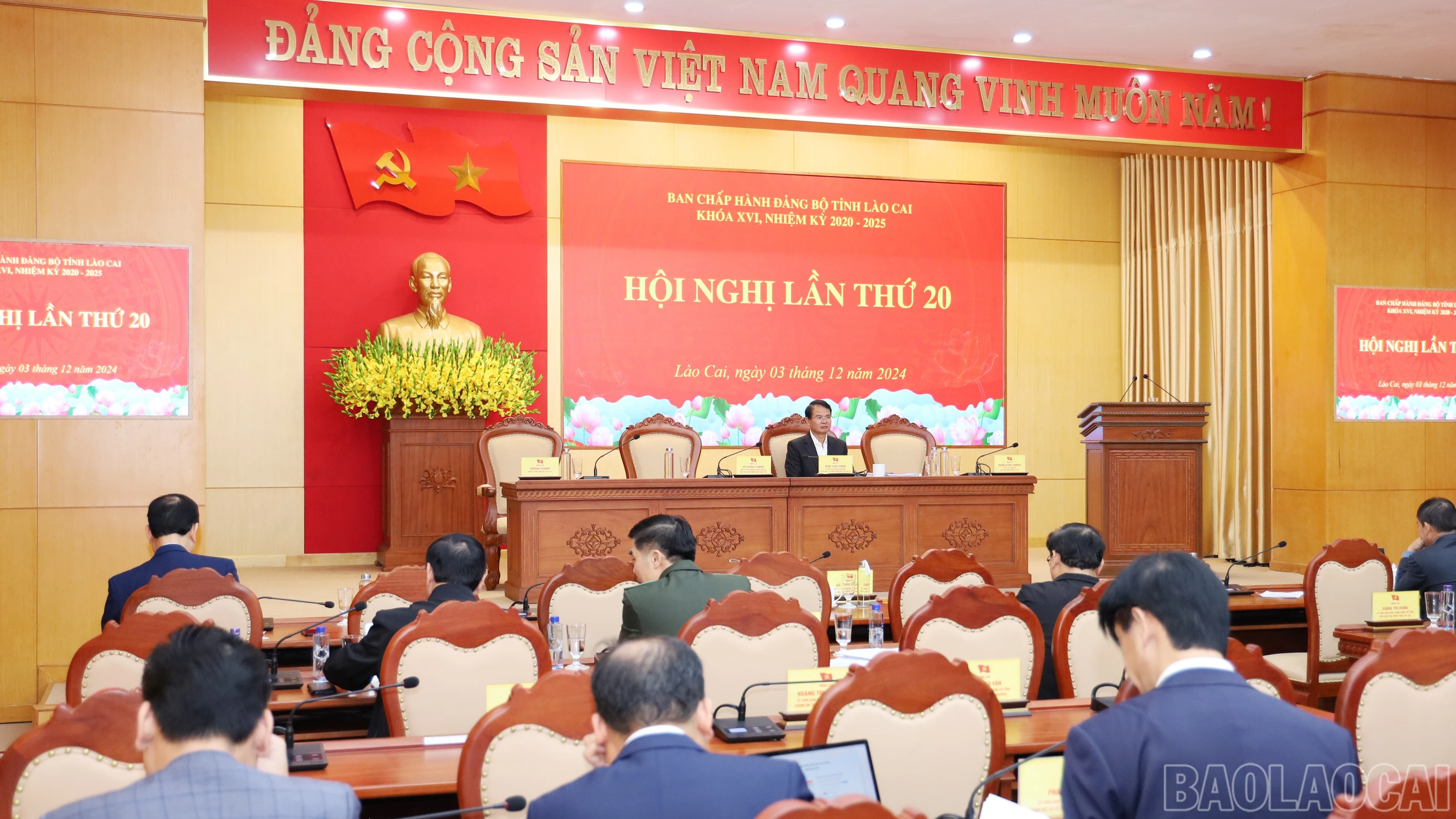 baolaocai-br_6472.jpg