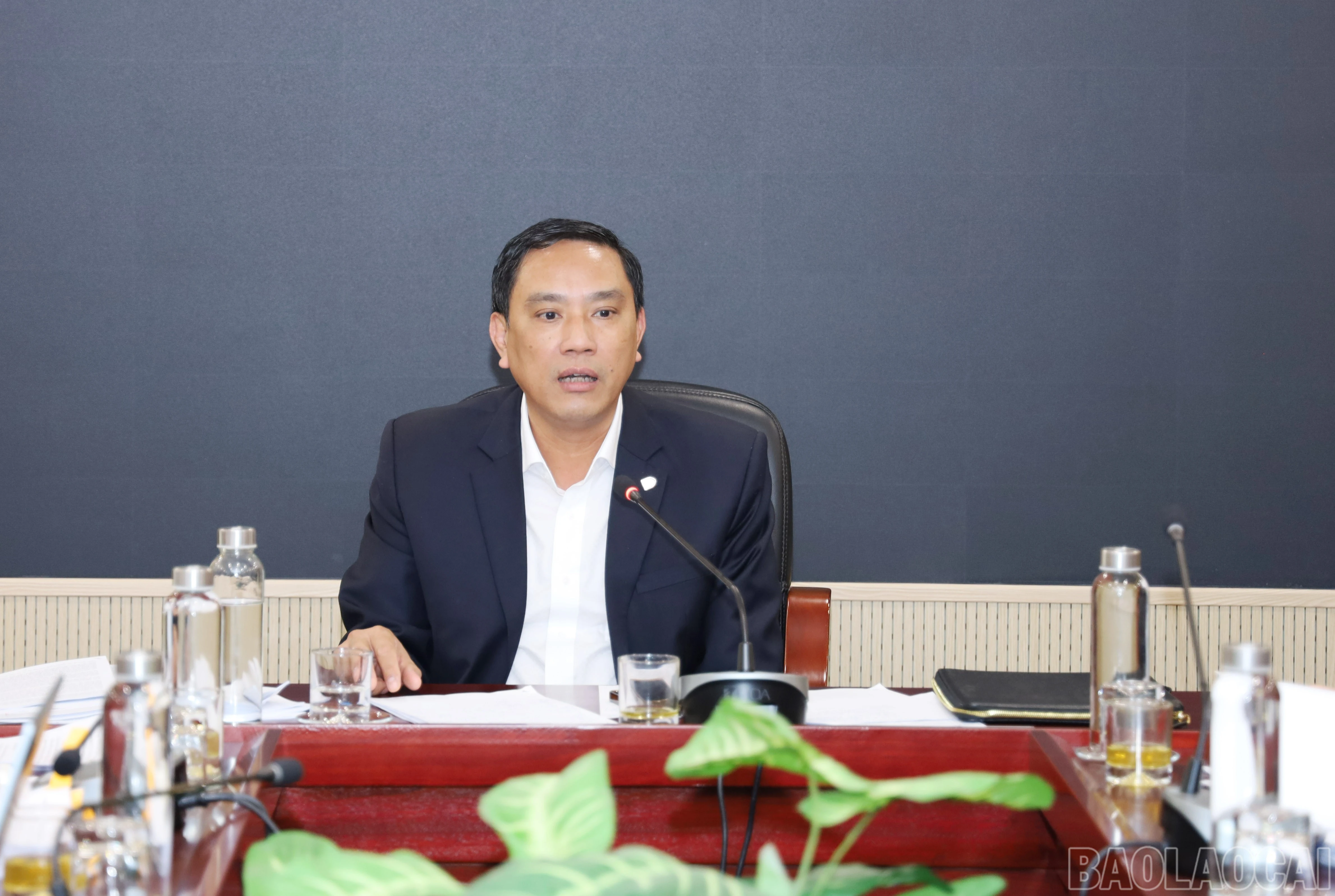 baolaocai-br_6510.jpg