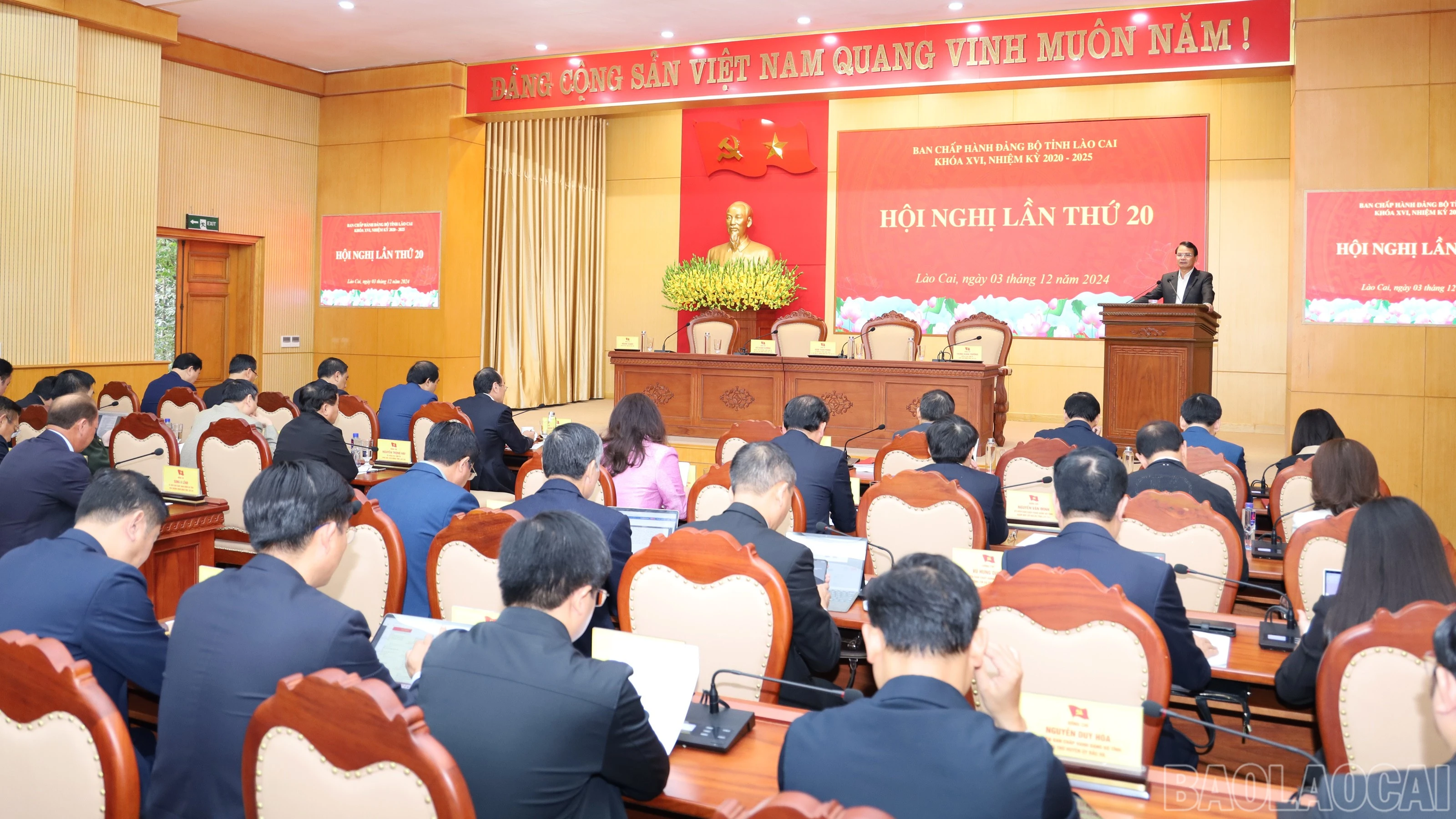 baolaocai-br_6446.jpg