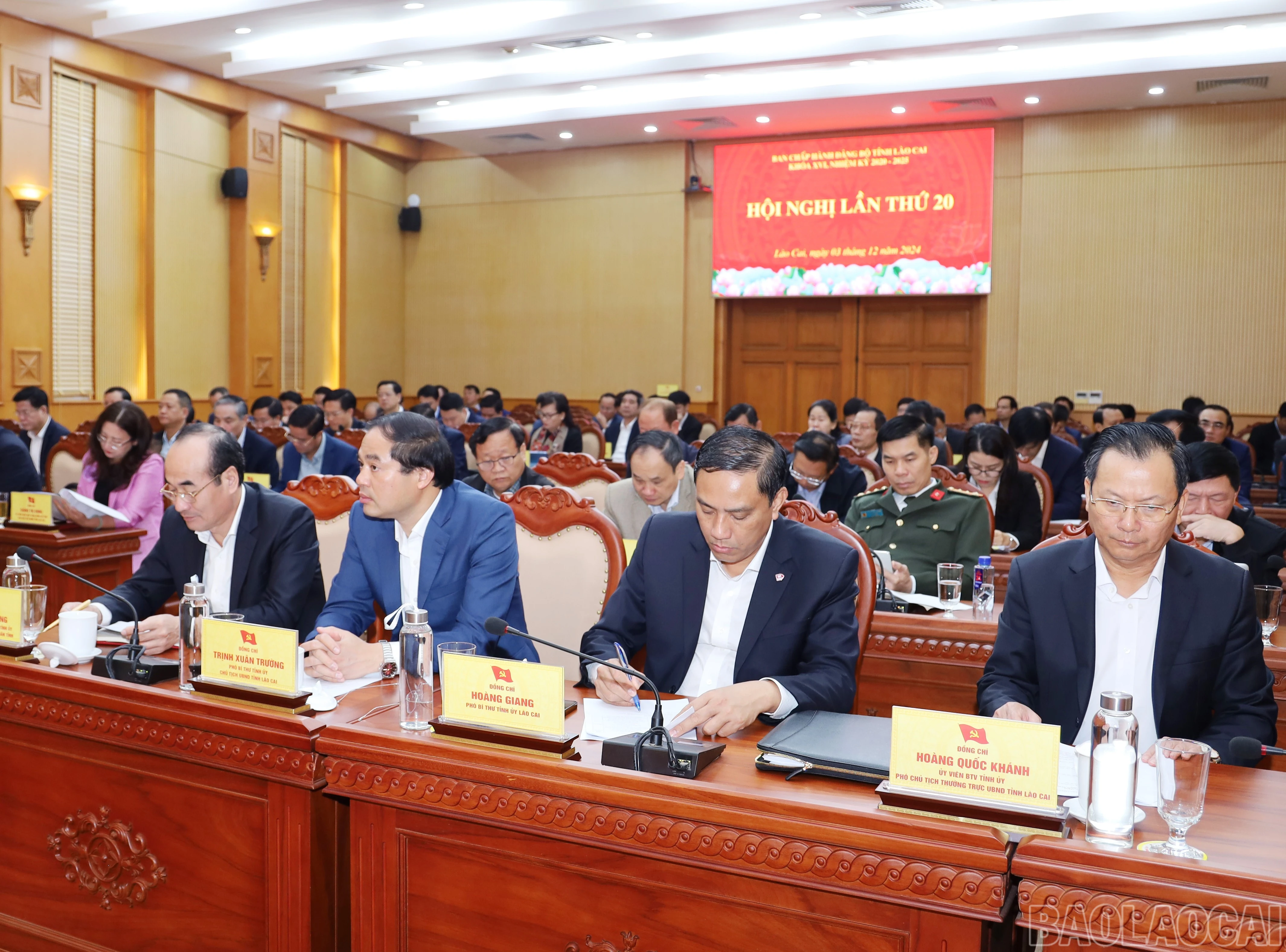 baolaocai-br_6448.jpg