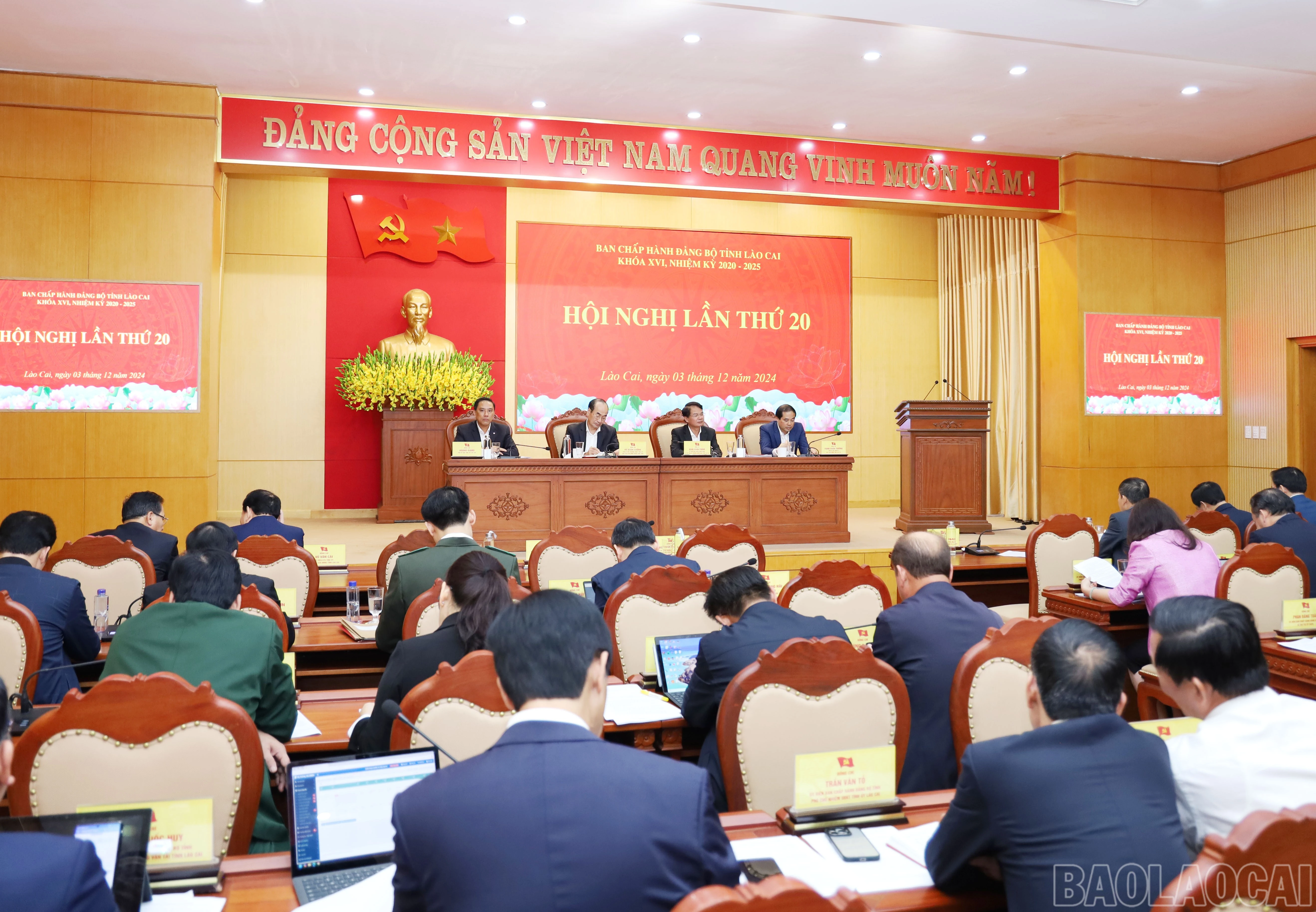 baolaocai-br_6562.jpg
