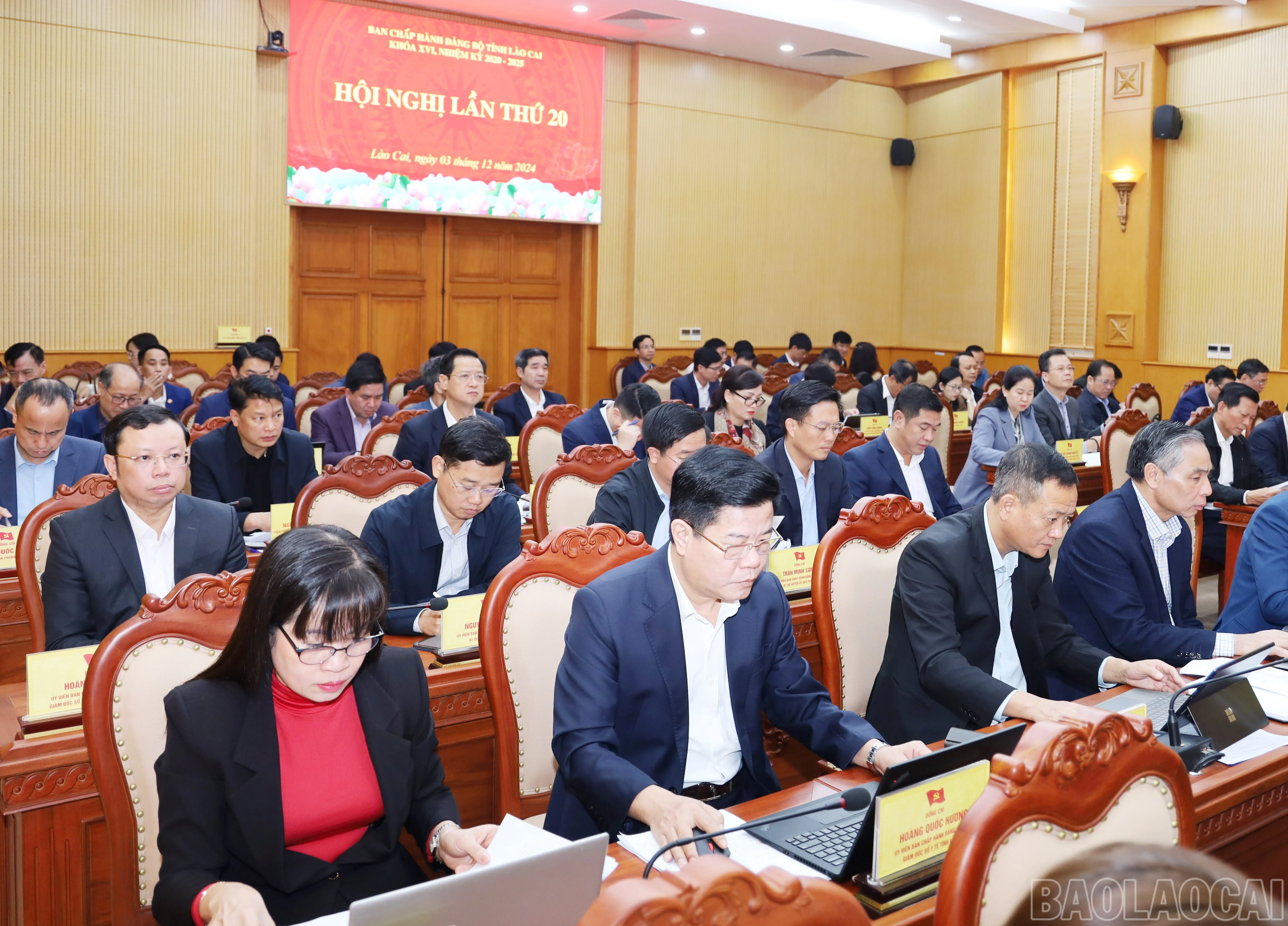 baolaocai-br_6442.jpg