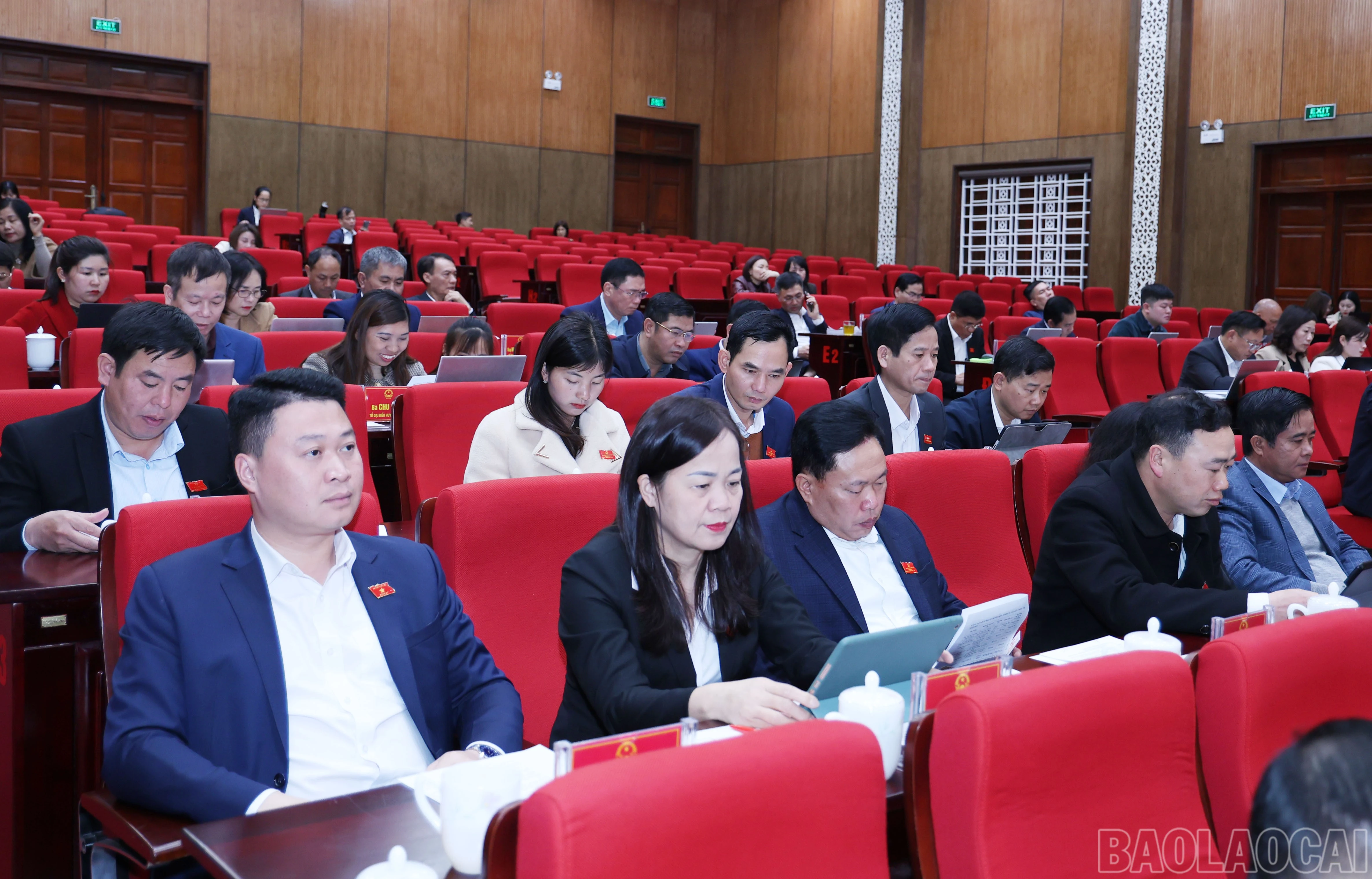 baolaocai-br_2869.jpg