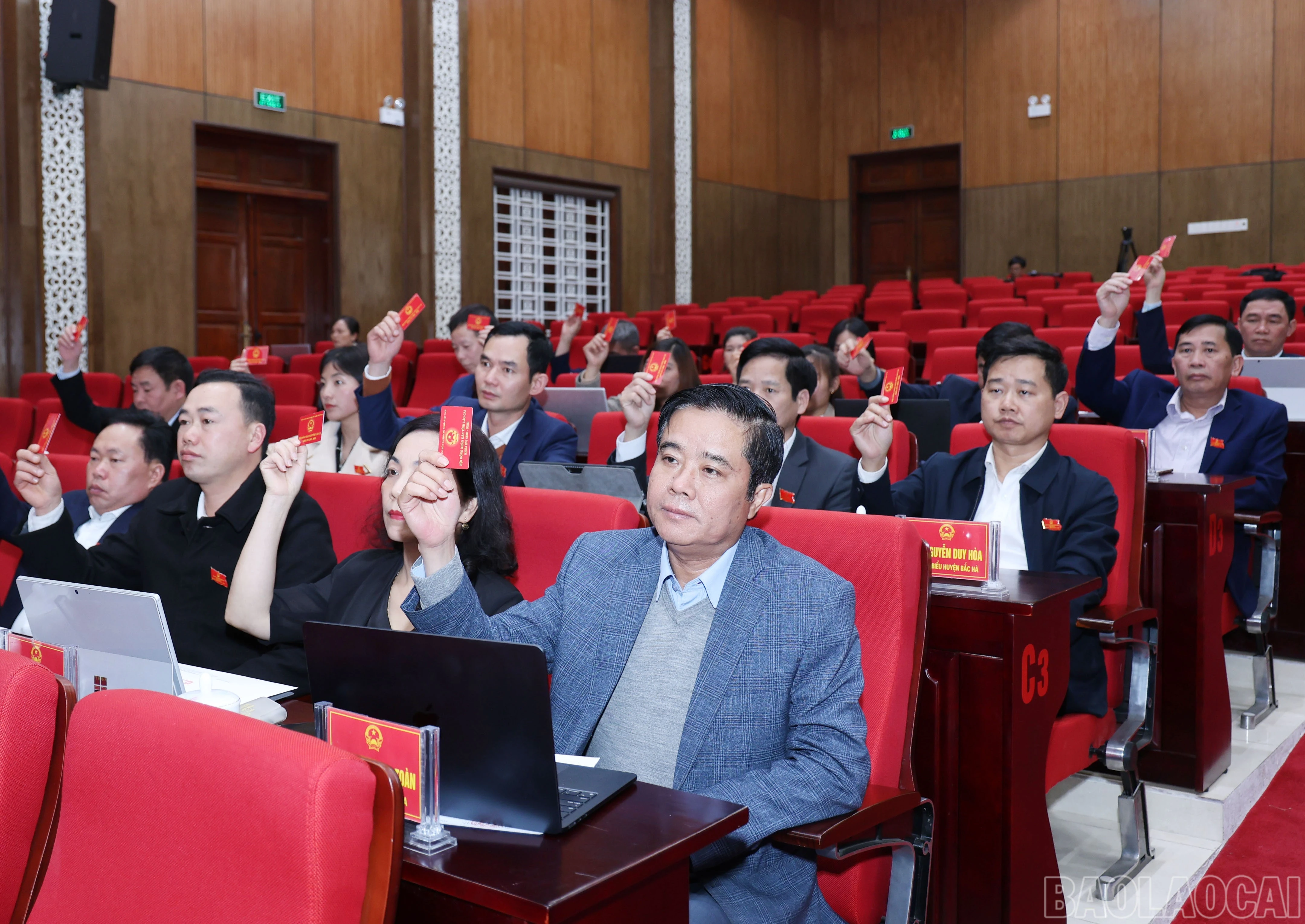 baolaocai-br_2980.jpg
