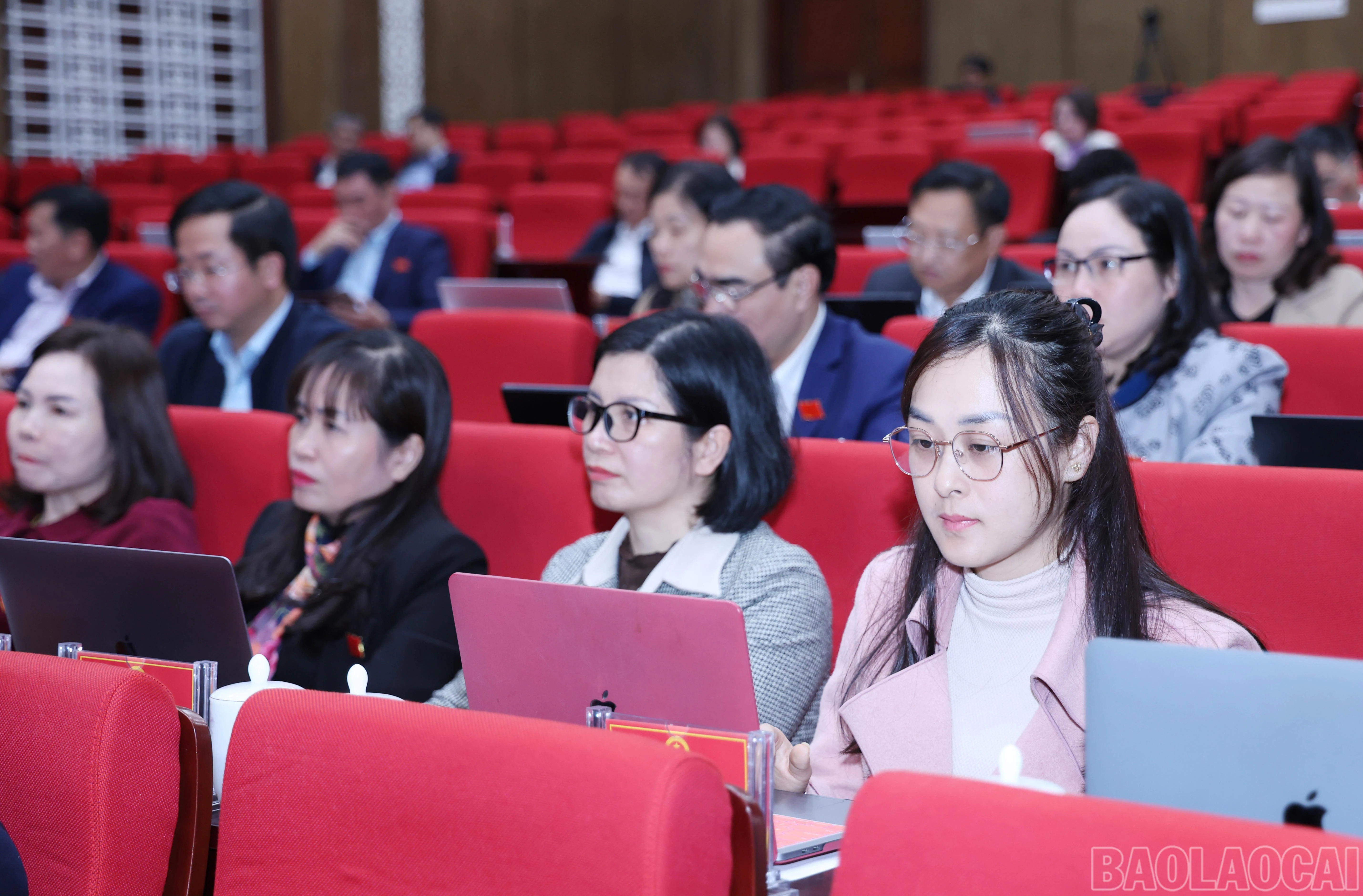 baolaocai-br_2950.jpg