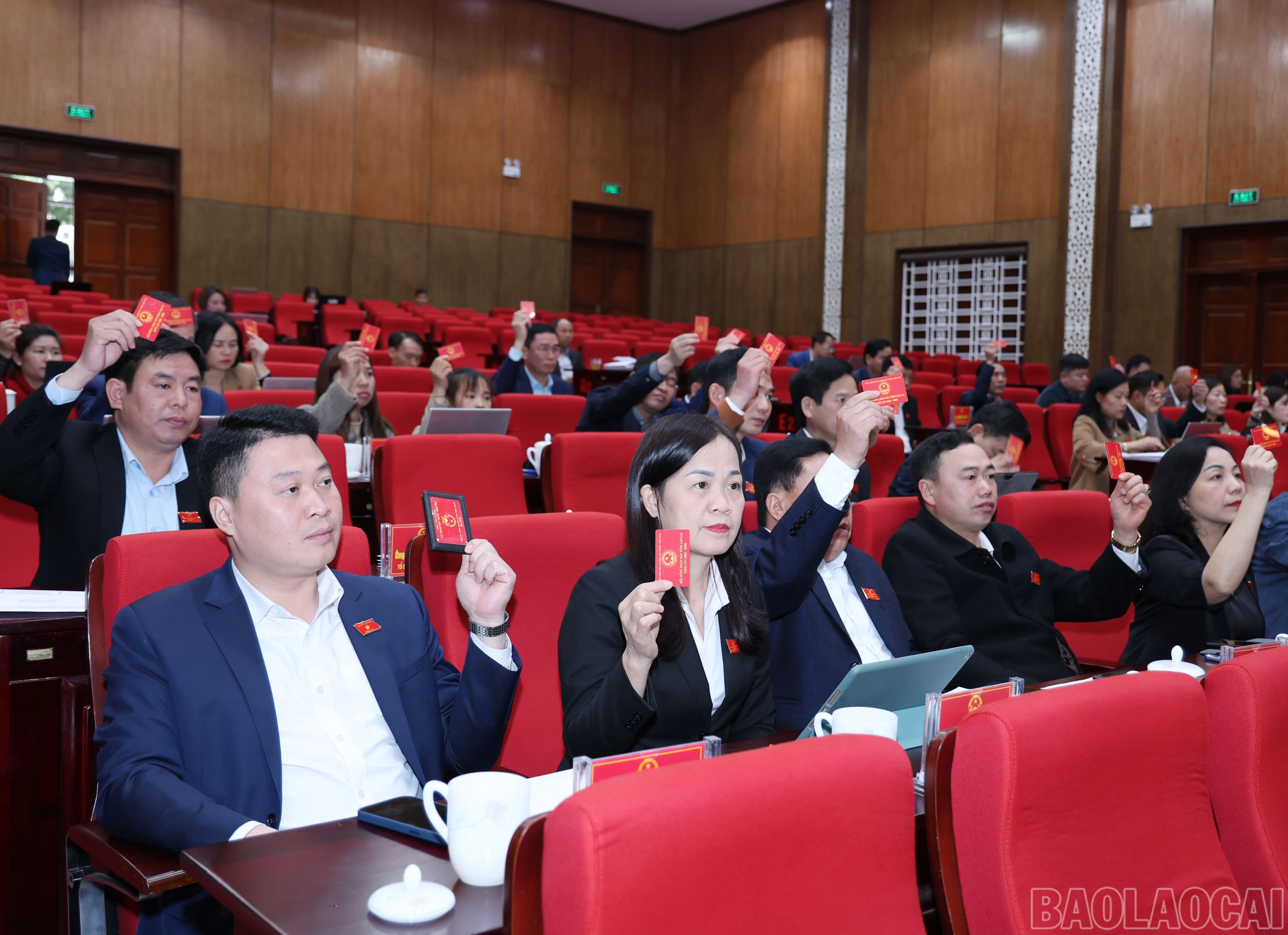 baolaocai-br_2964.jpg
