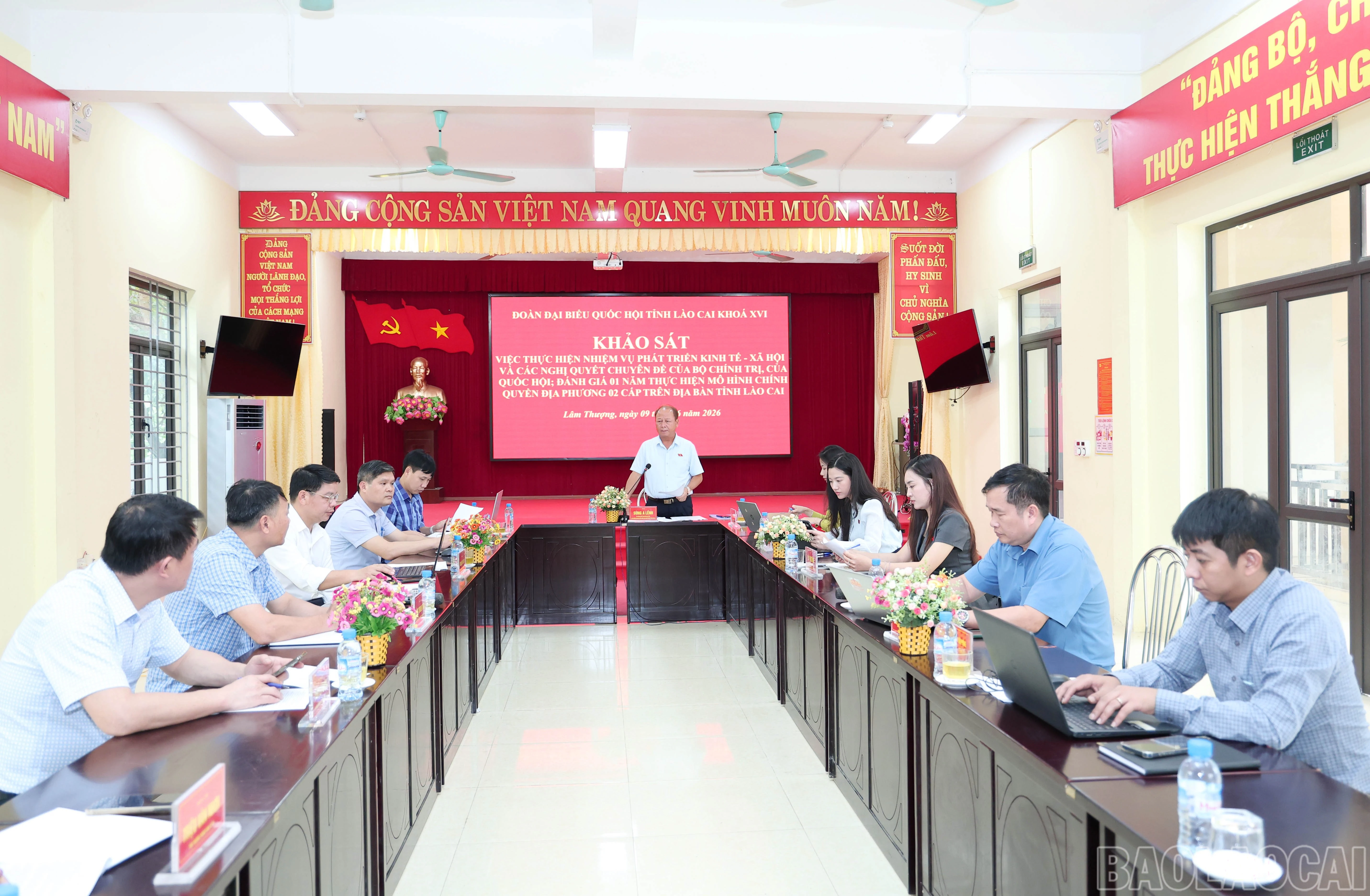 baolaocai-br_img-5266.jpg