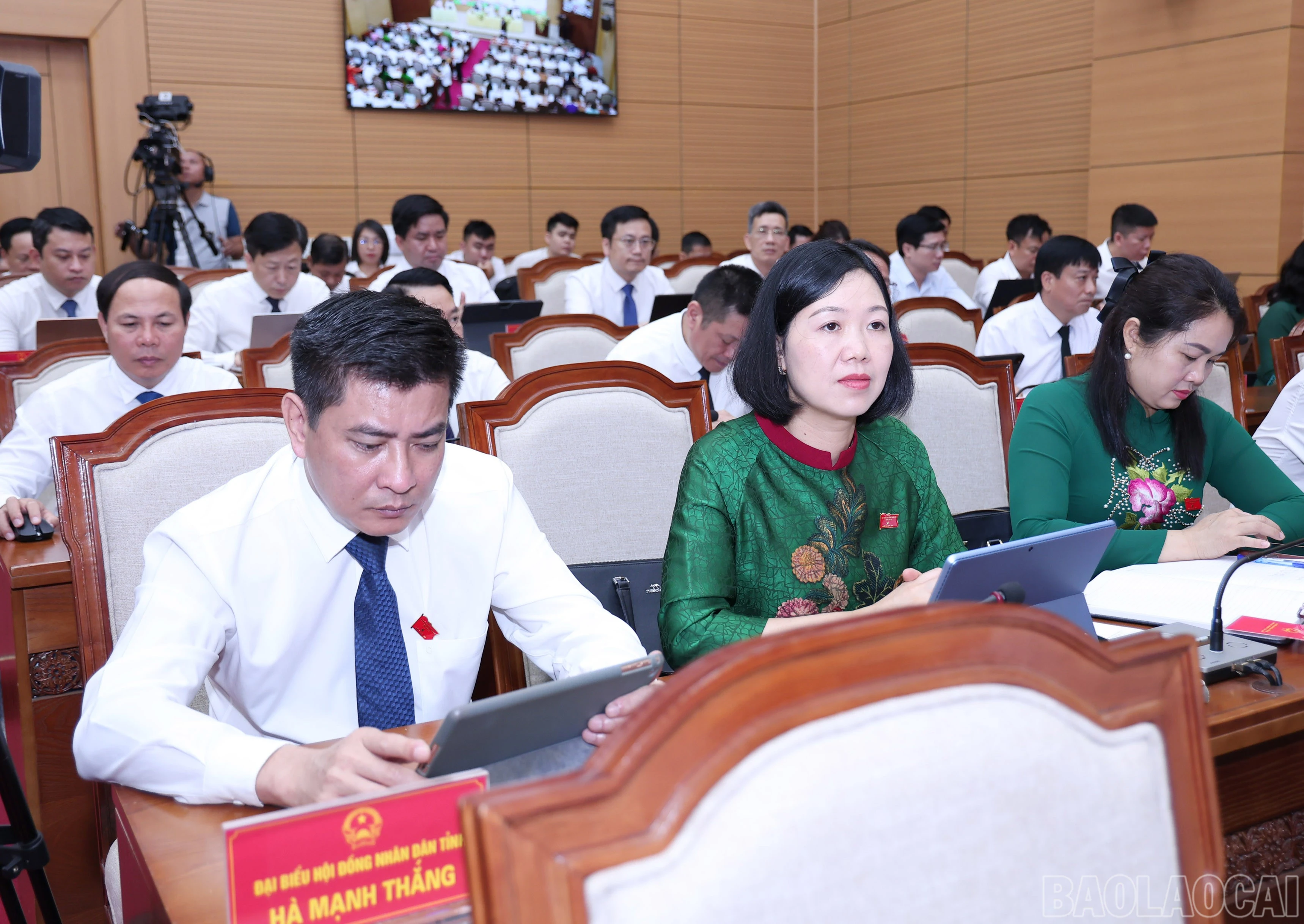 baolaocai-br_img-8748.jpg
