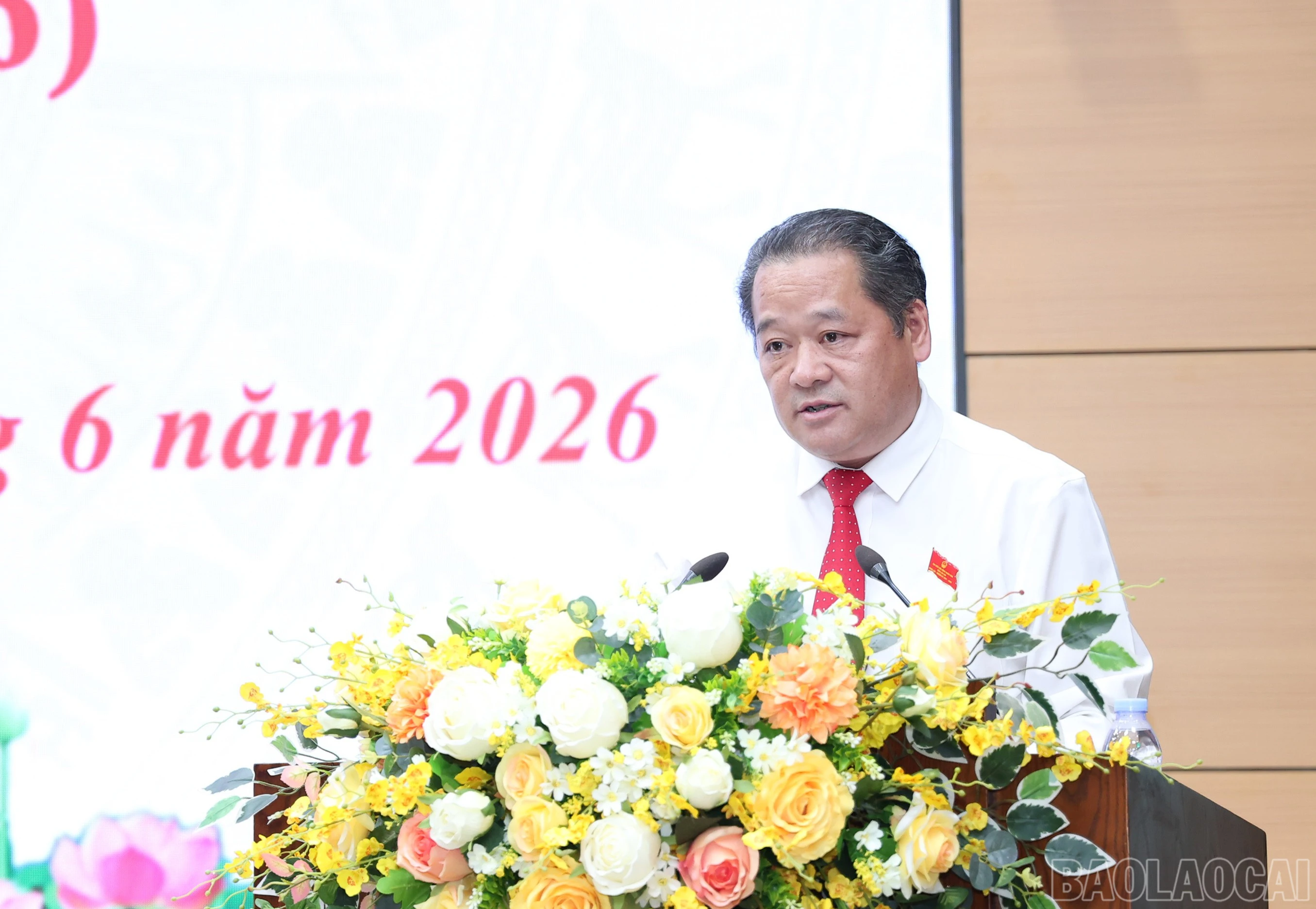 baolaocai-br_img-8871.jpg