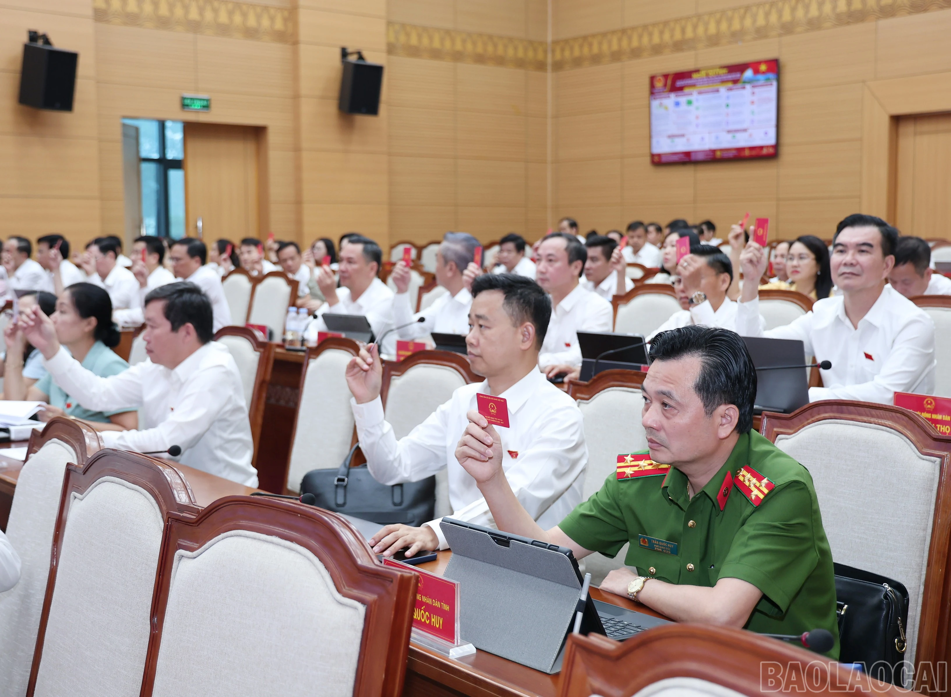 baolaocai-br_img-9100.jpg