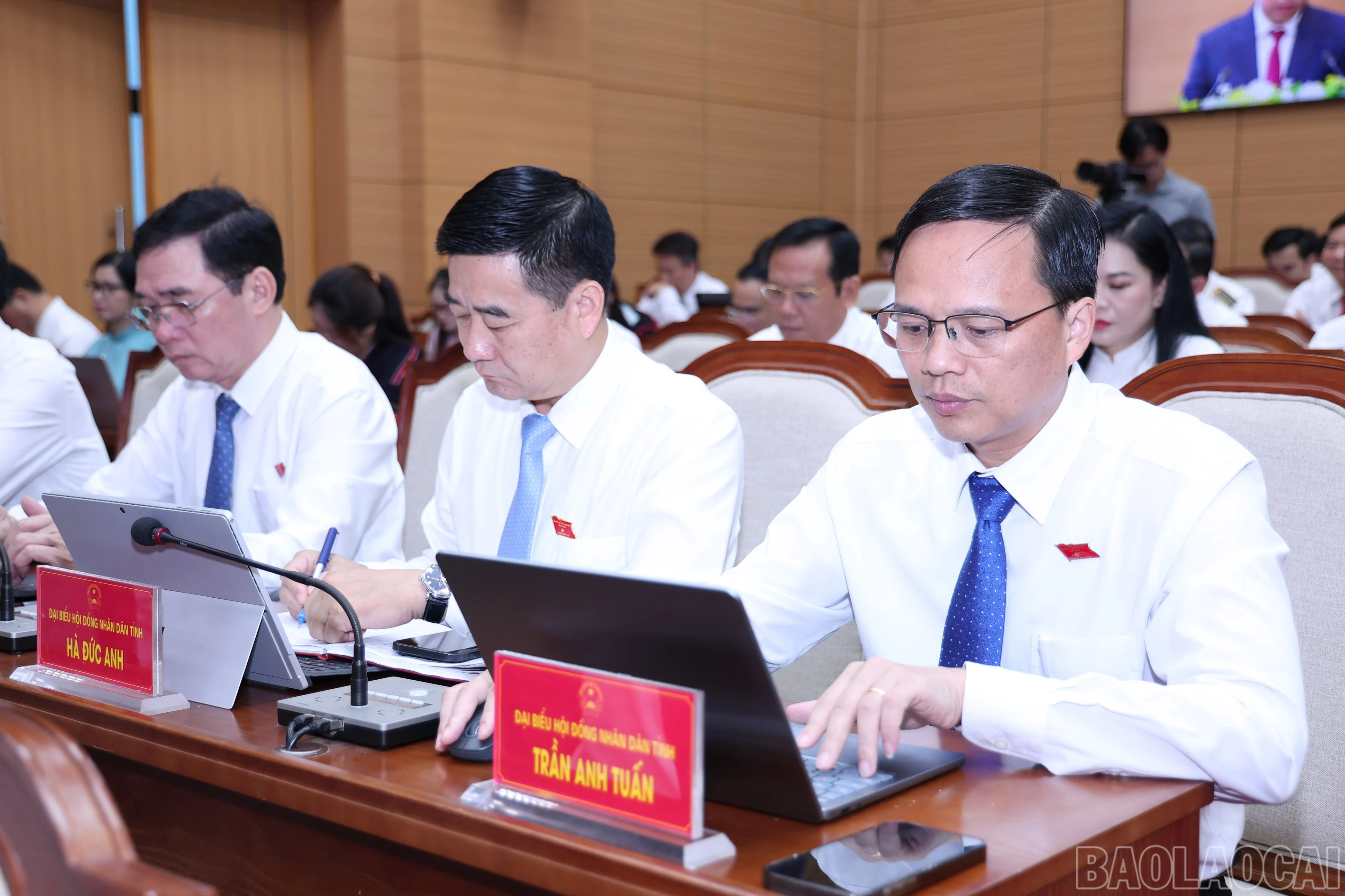 baolaocai-br_img-8739.jpg