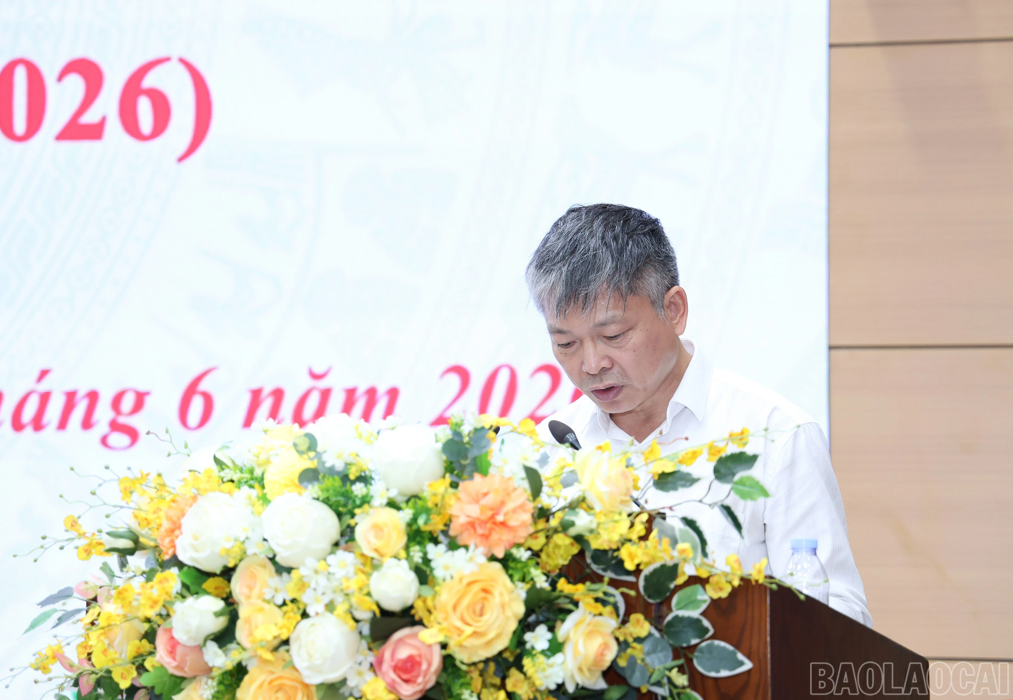 baolaocai-br_img-8973.jpg