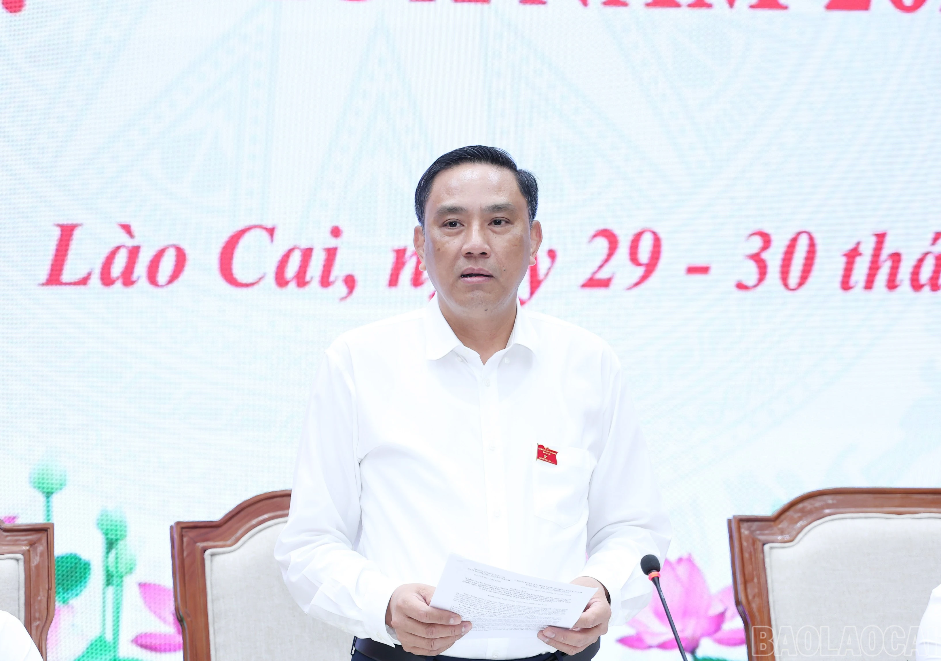 baolaocai-br_img-9050.jpg