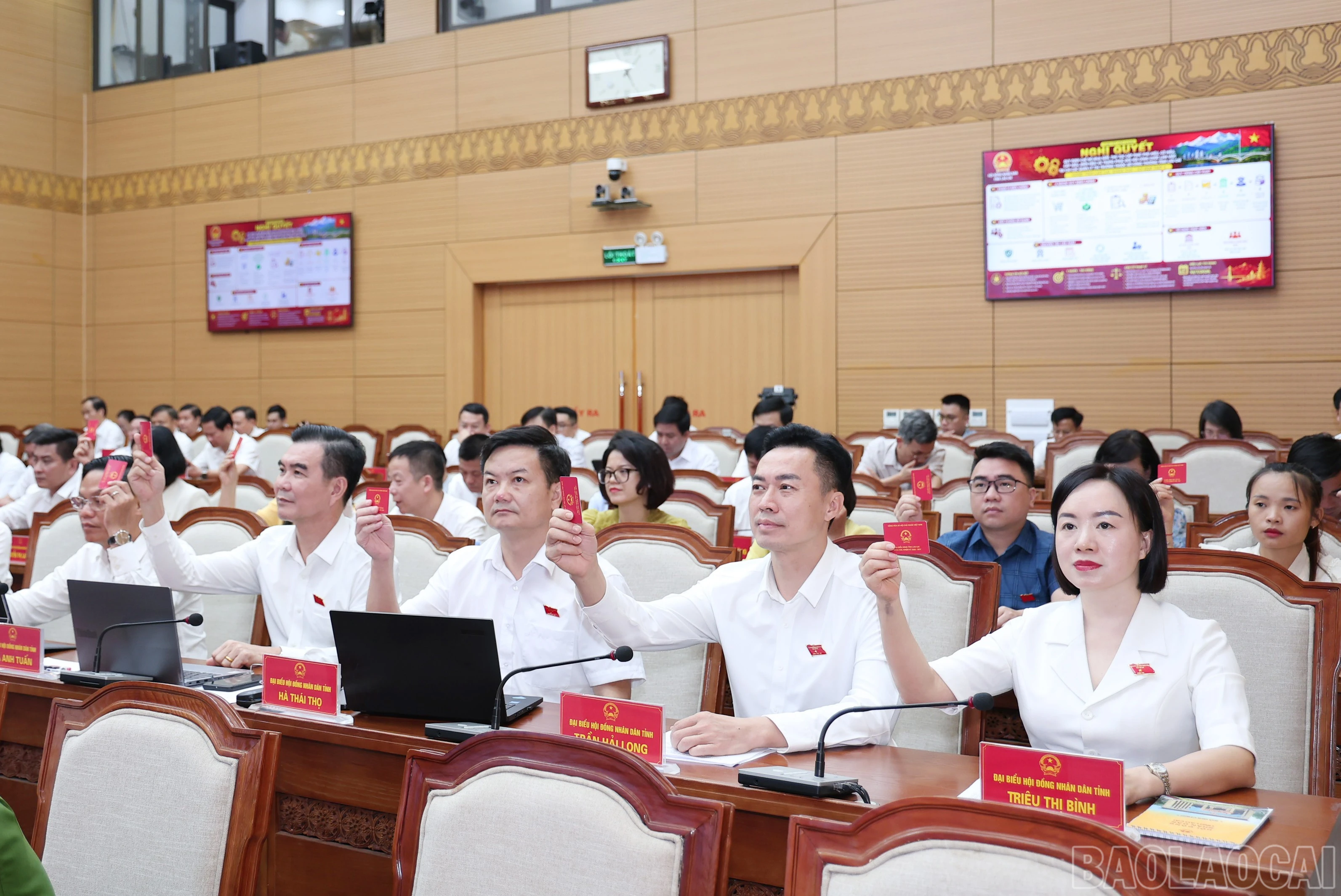 baolaocai-br_img-9114.jpg
