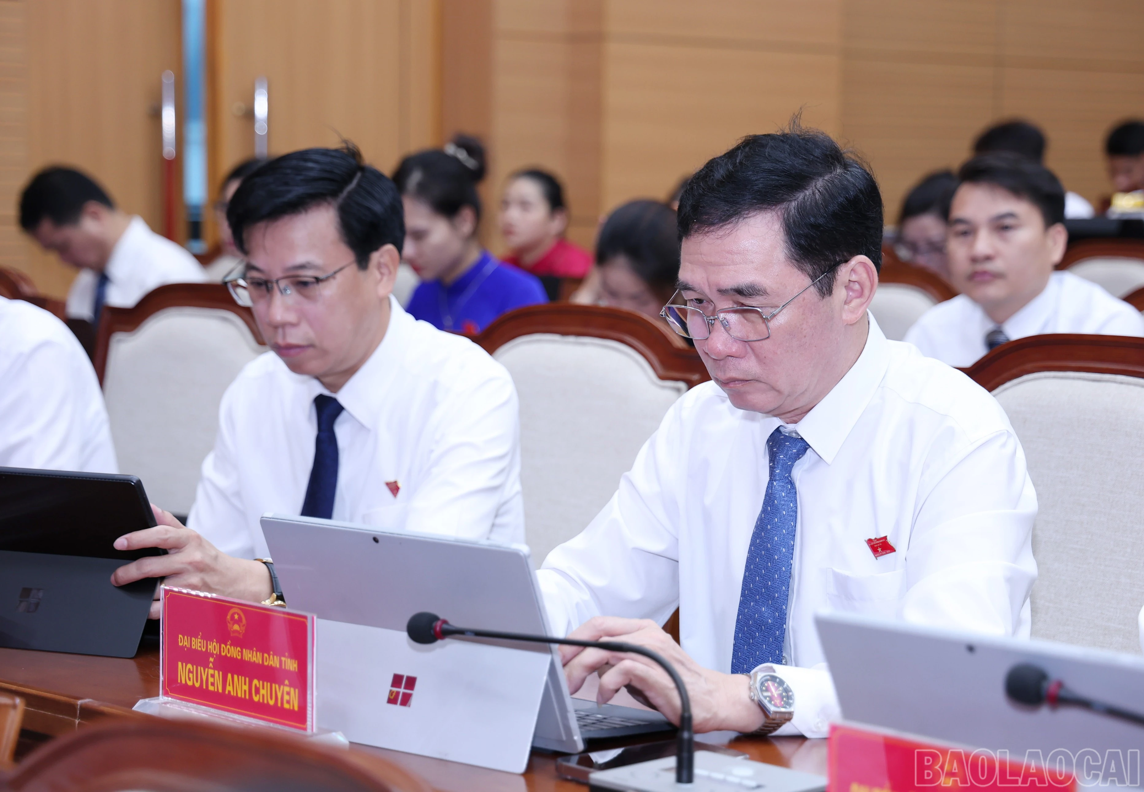 baolaocai-br_img-8736.jpg