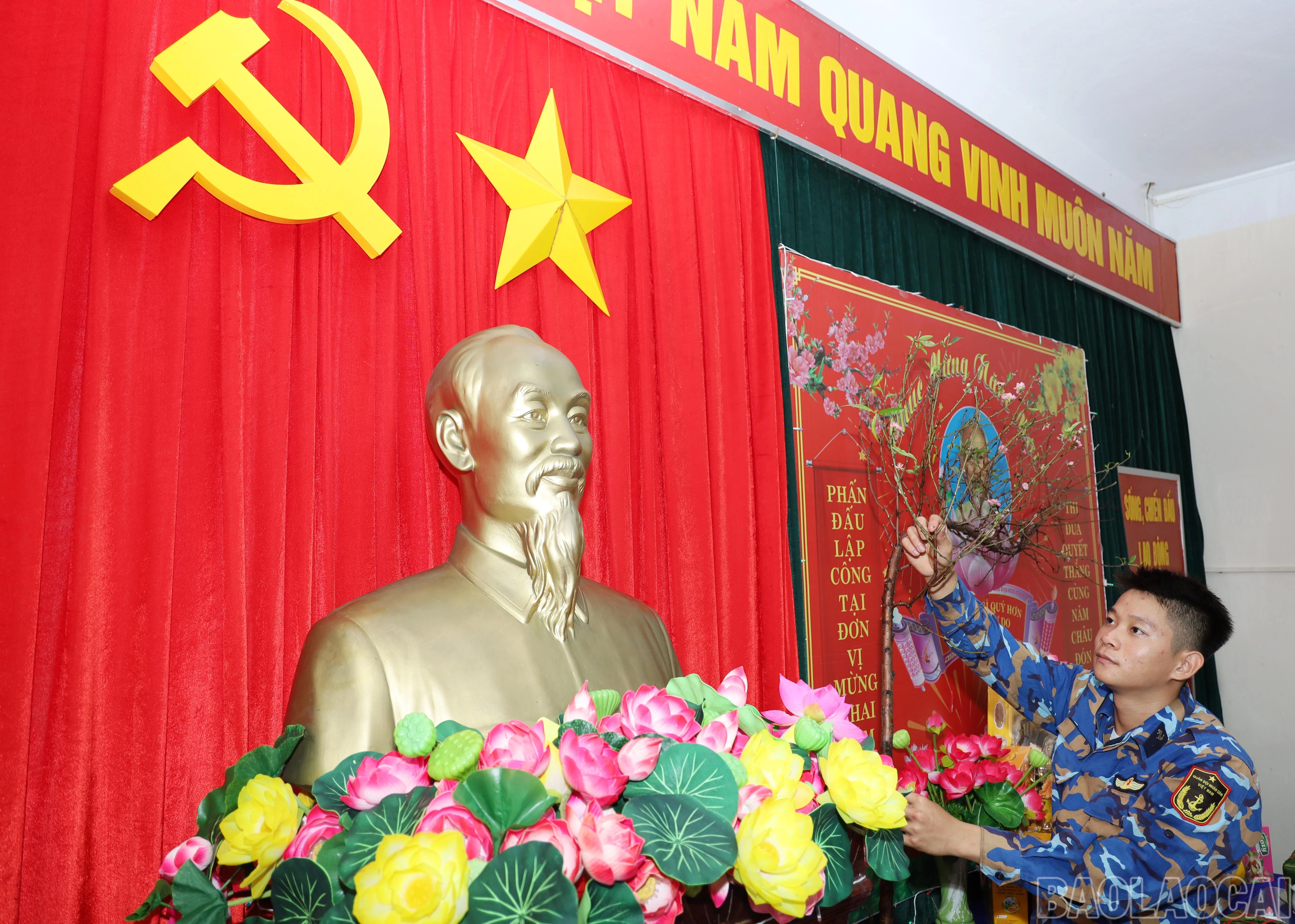 baolaocai-br_ab.jpg