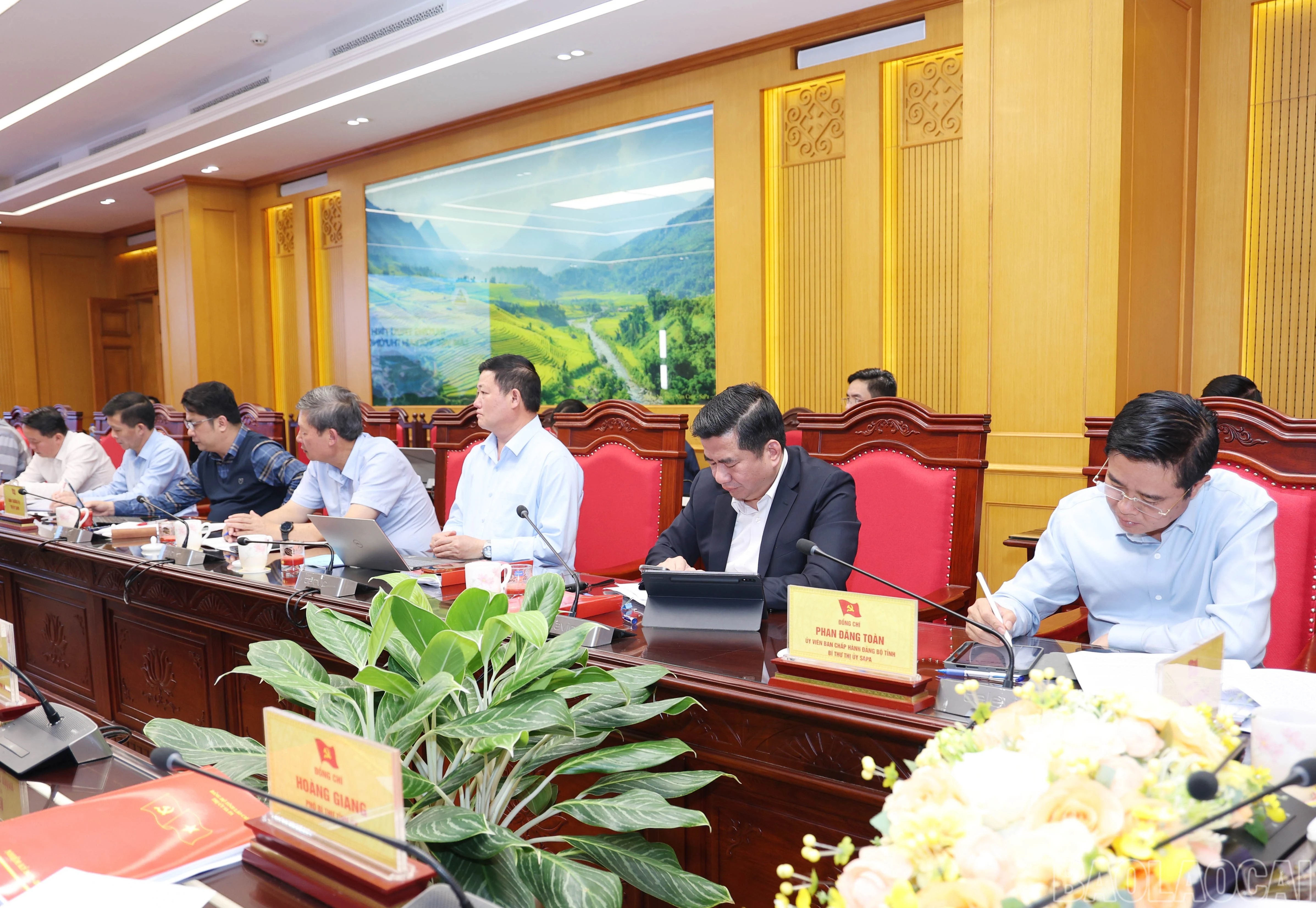 baolaocai-br_2386.jpg