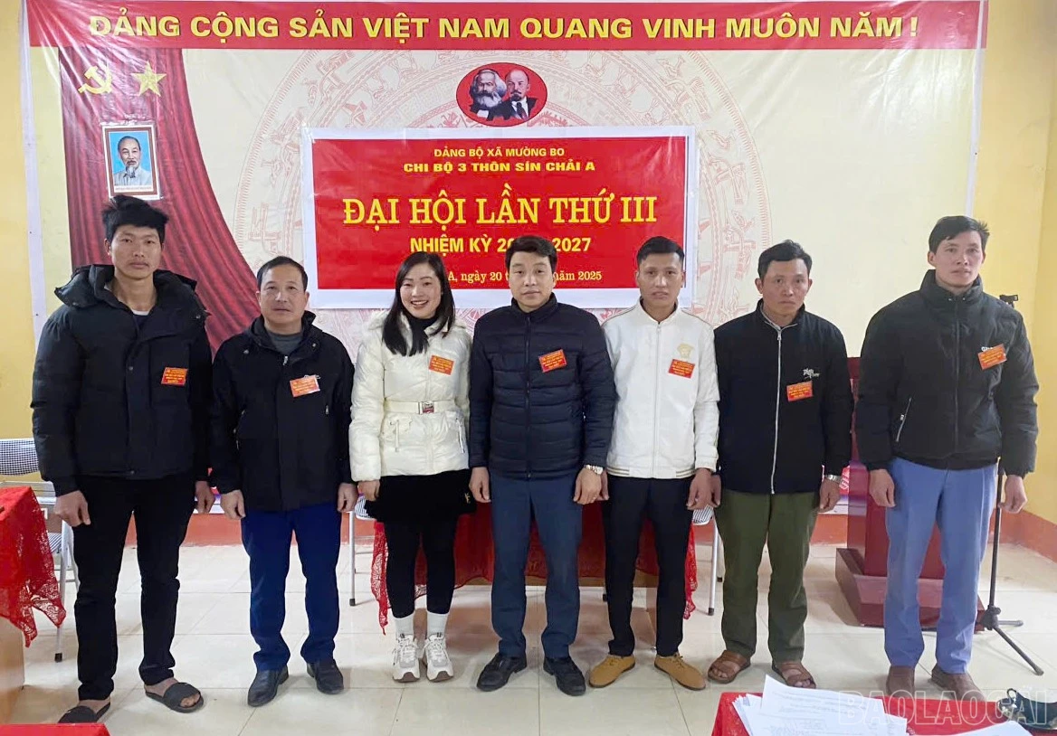 baolaocai-br_cmb.jpg
