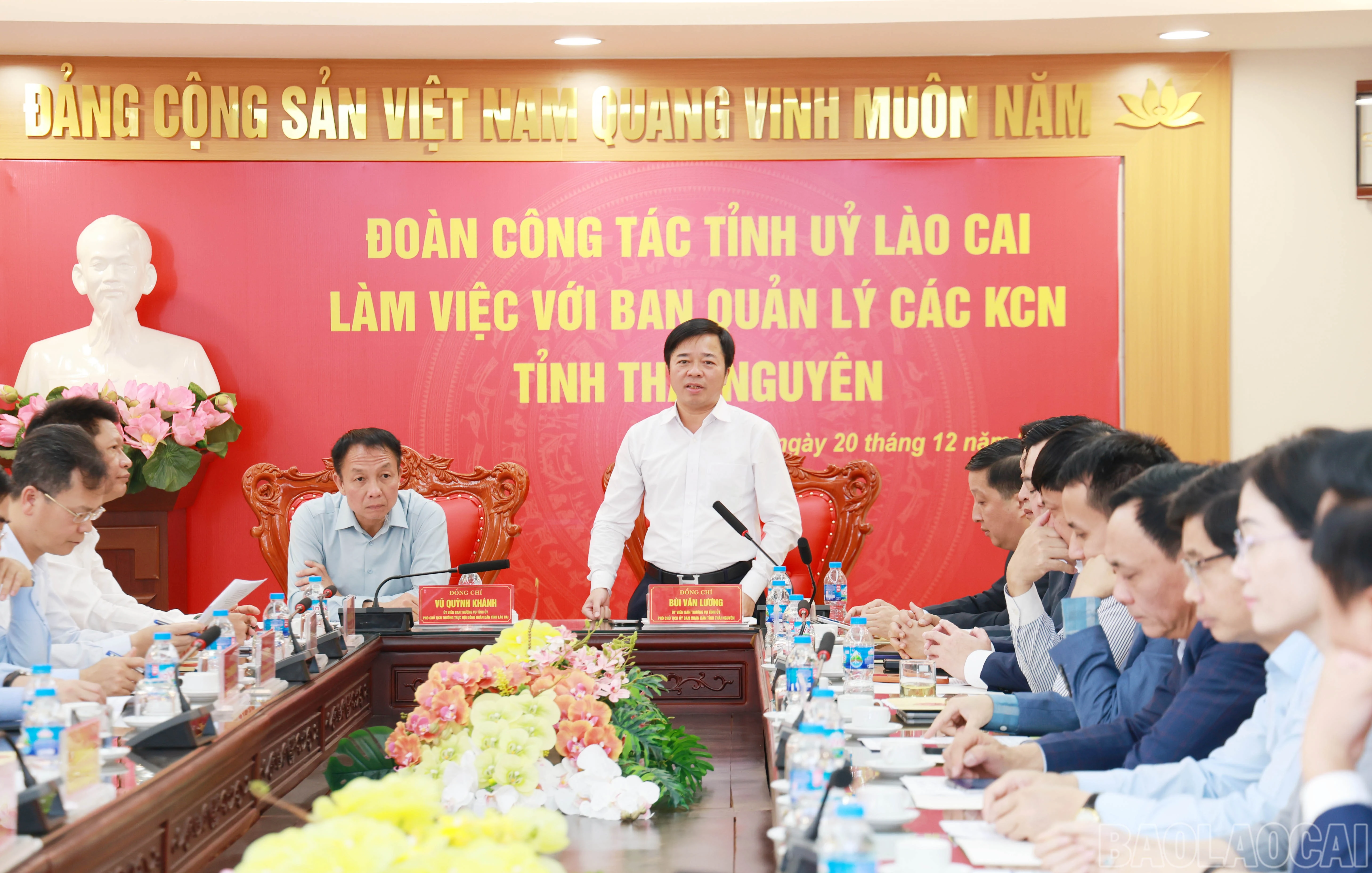 baolaocai-br_9706.jpg