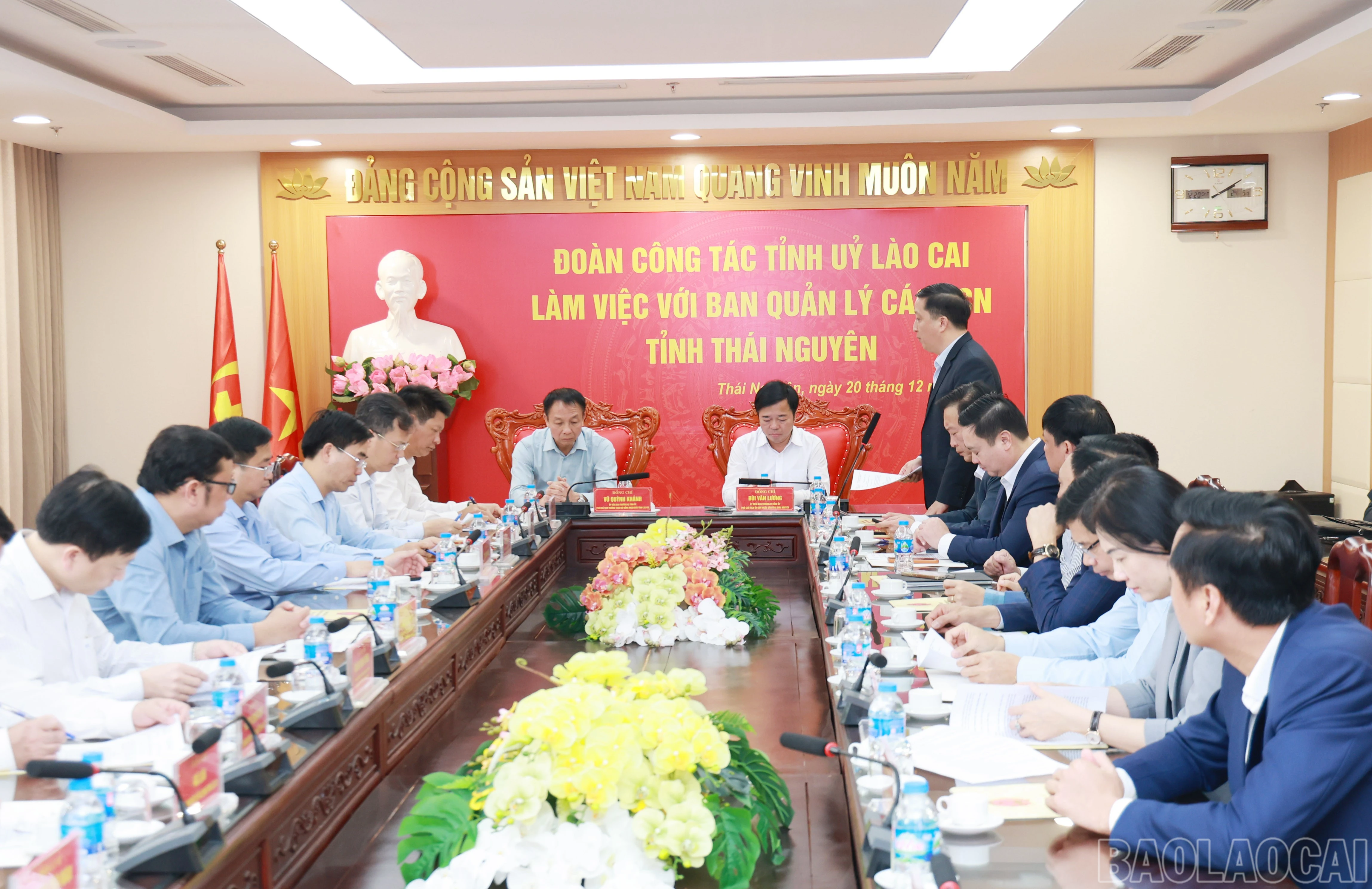 baolaocai-br_9674.jpg