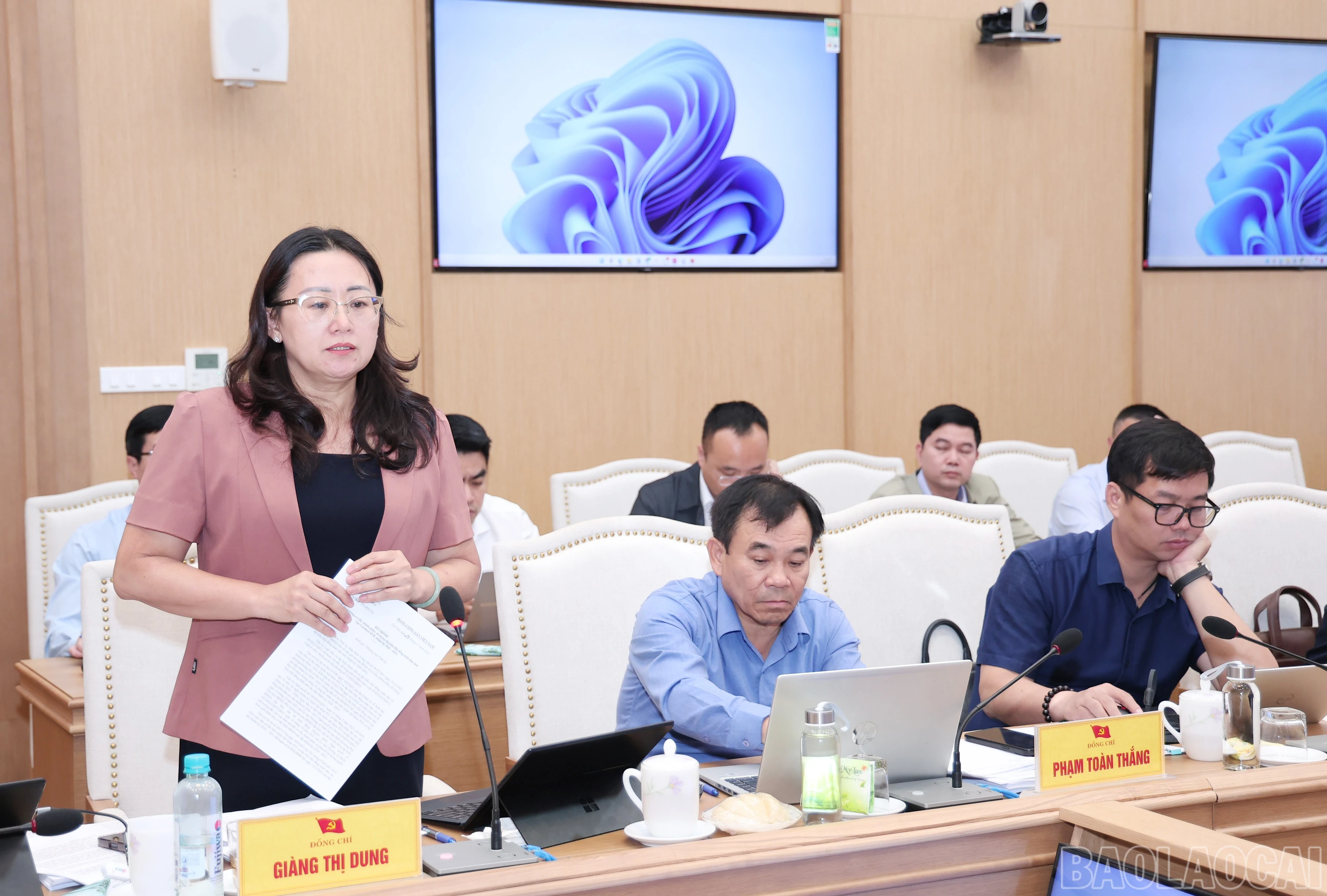 baolaocai-br_img-1093.jpg