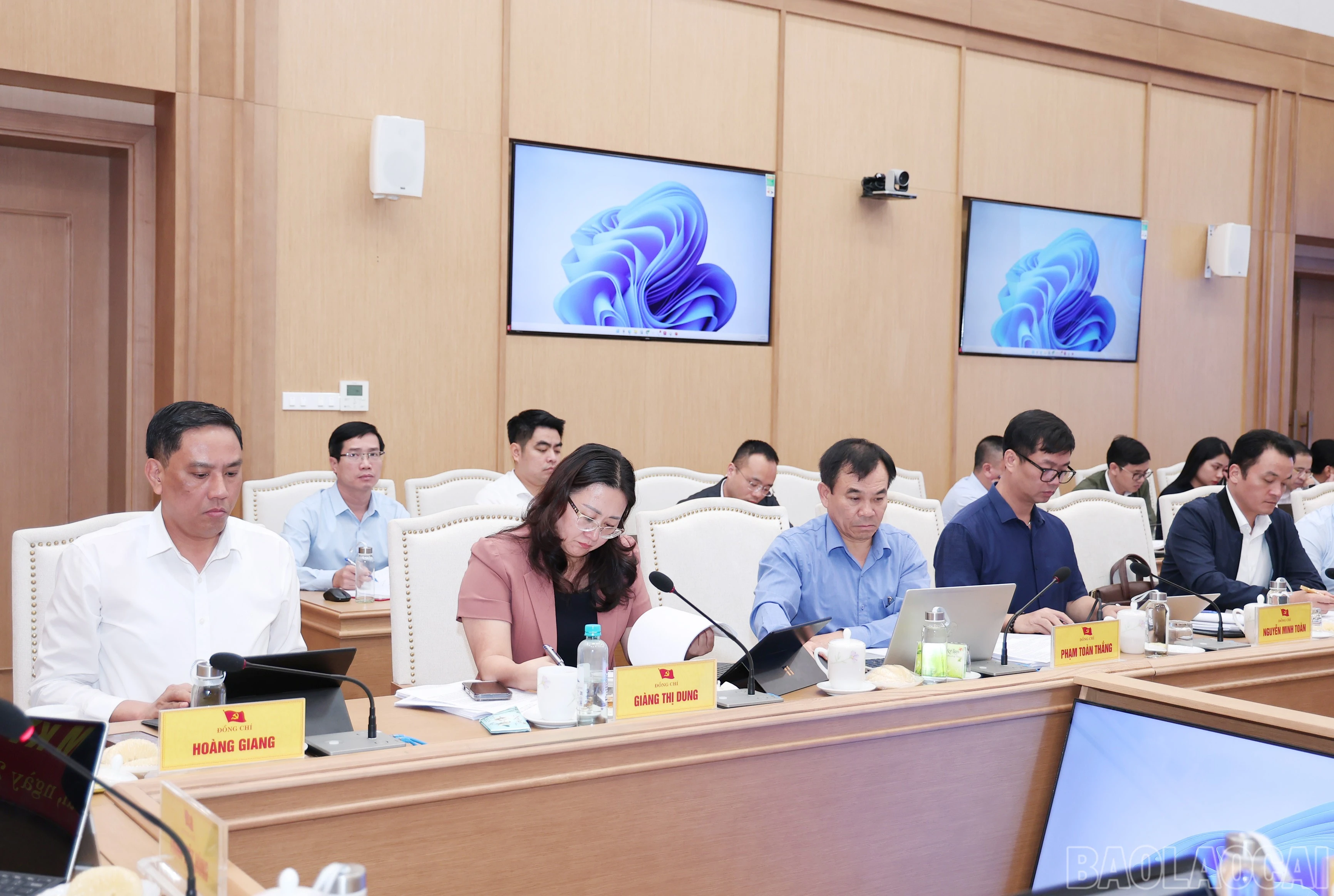 baolaocai-br_img-1144.jpg